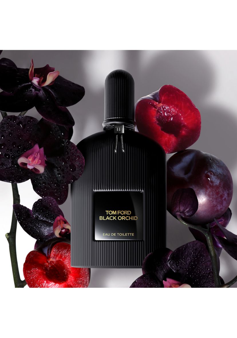Black Orchid Discovery Set of 4