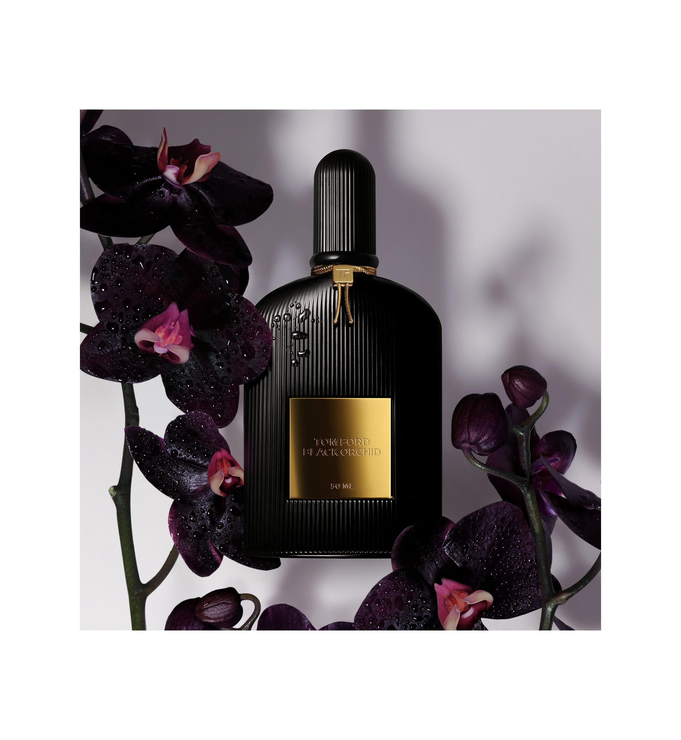 Black Orchid Discovery Set of 4