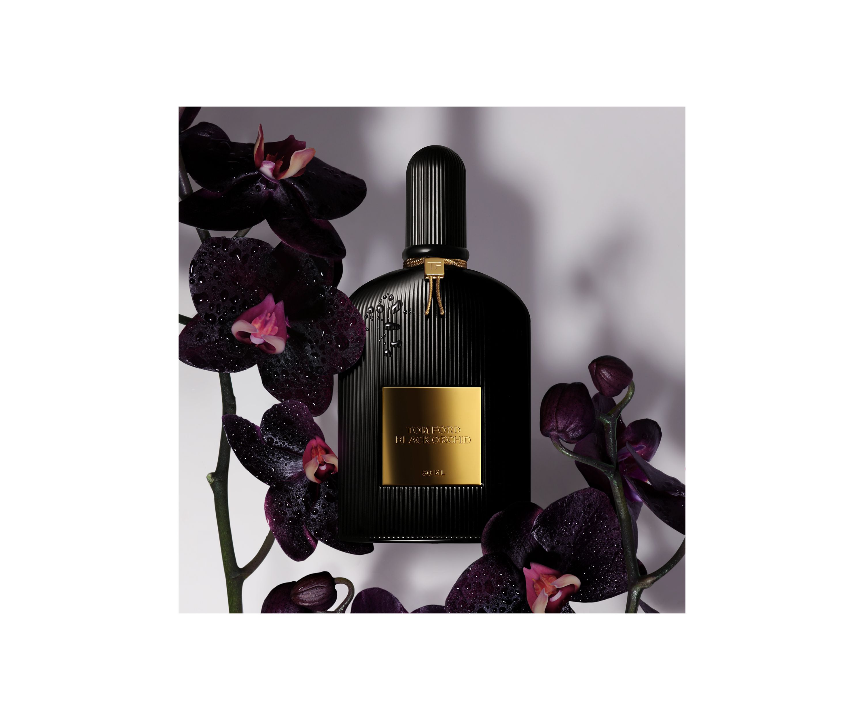 Black Orchid Discovery Set of 4