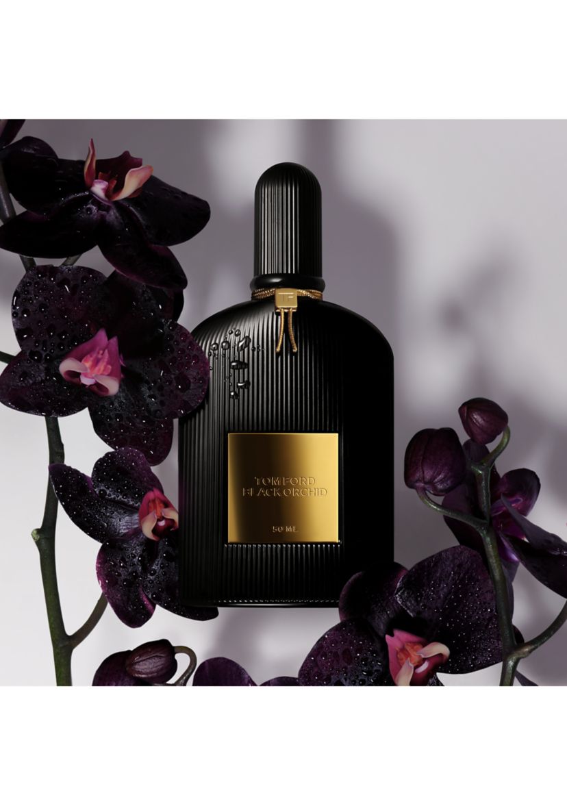 Black Orchid Discovery Set of 4