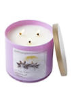 Moonlit Snow 3 Wick Candle 