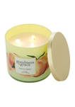Peachy Sweet 3 Wick Candle