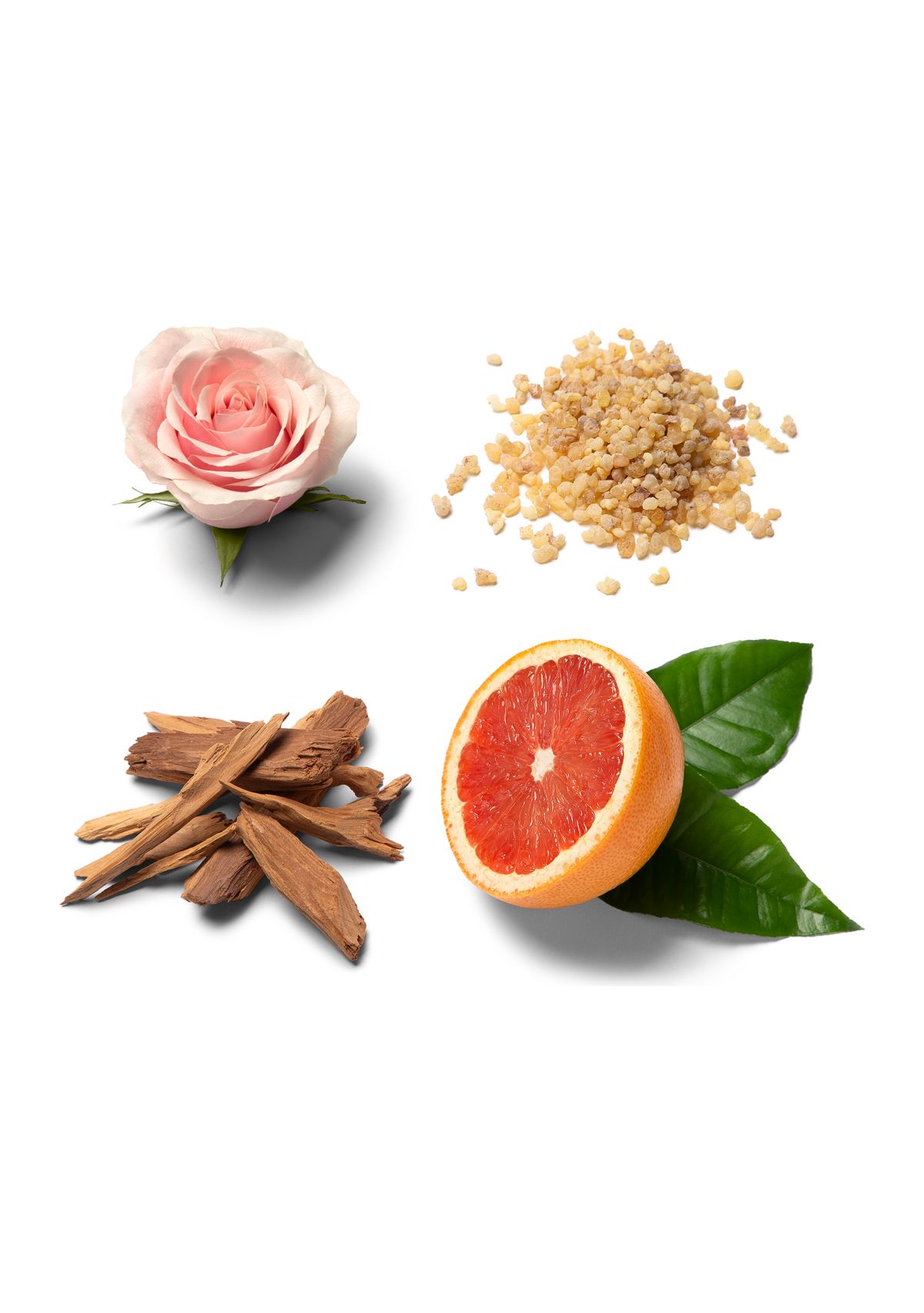 Eau de Parfum Éclat