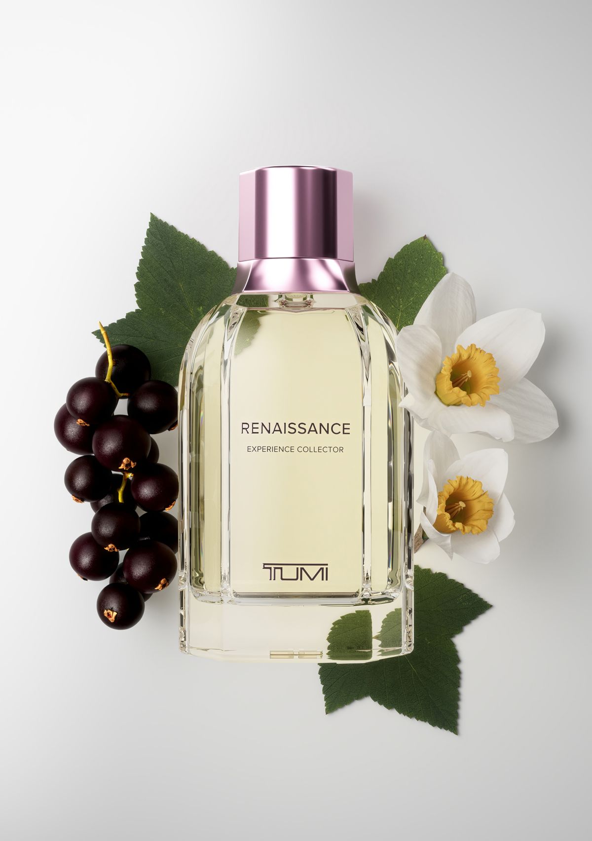 Renaissance Experience Collector Extrait de Parfum