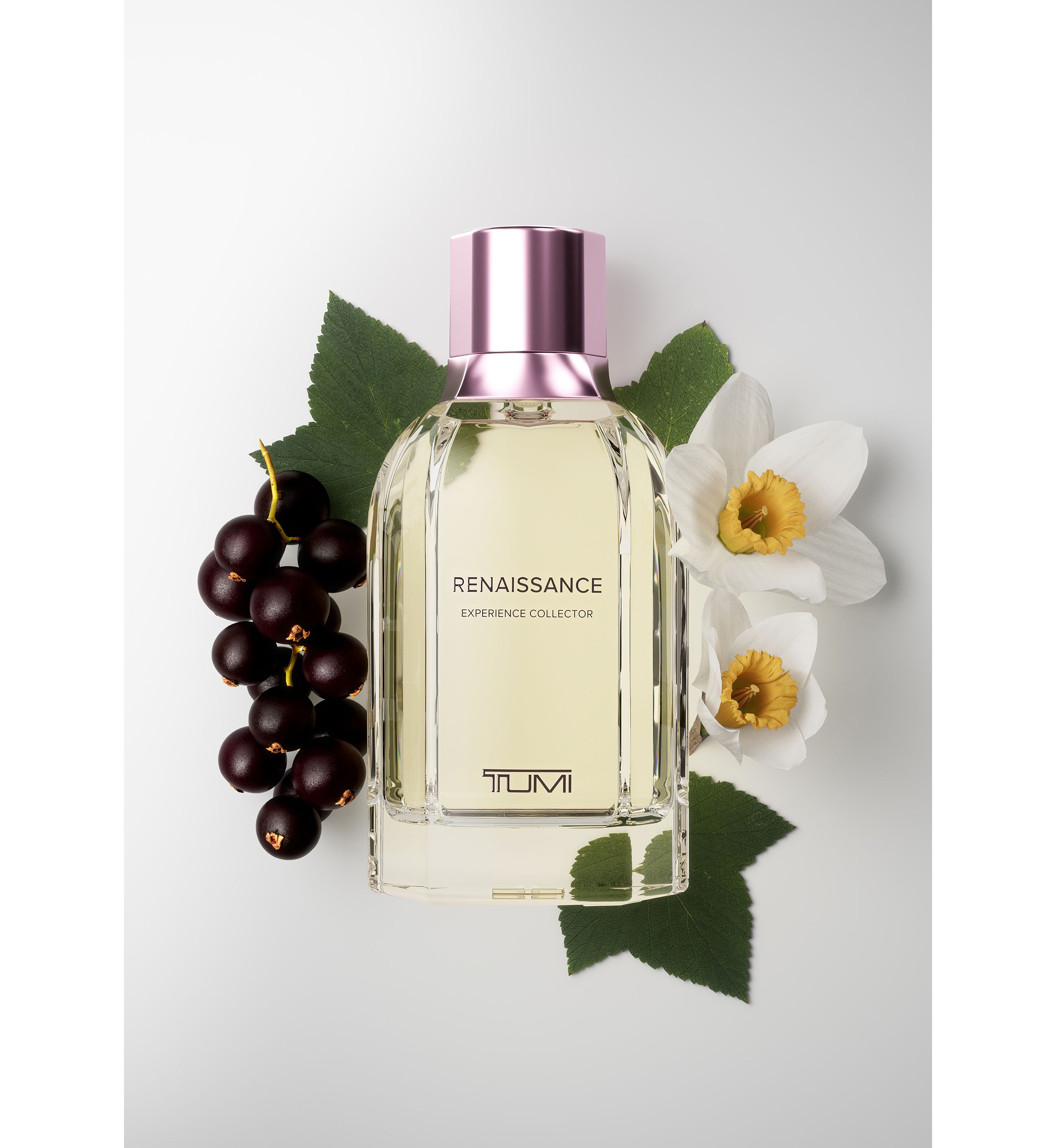 Renaissance Experience Collector Extrait de Parfum