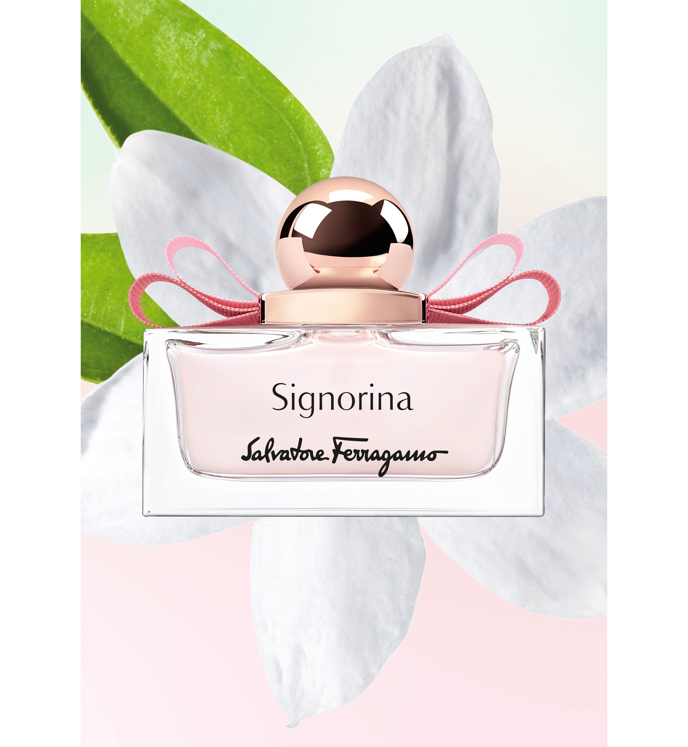 Signorina Eau de Parfum 
