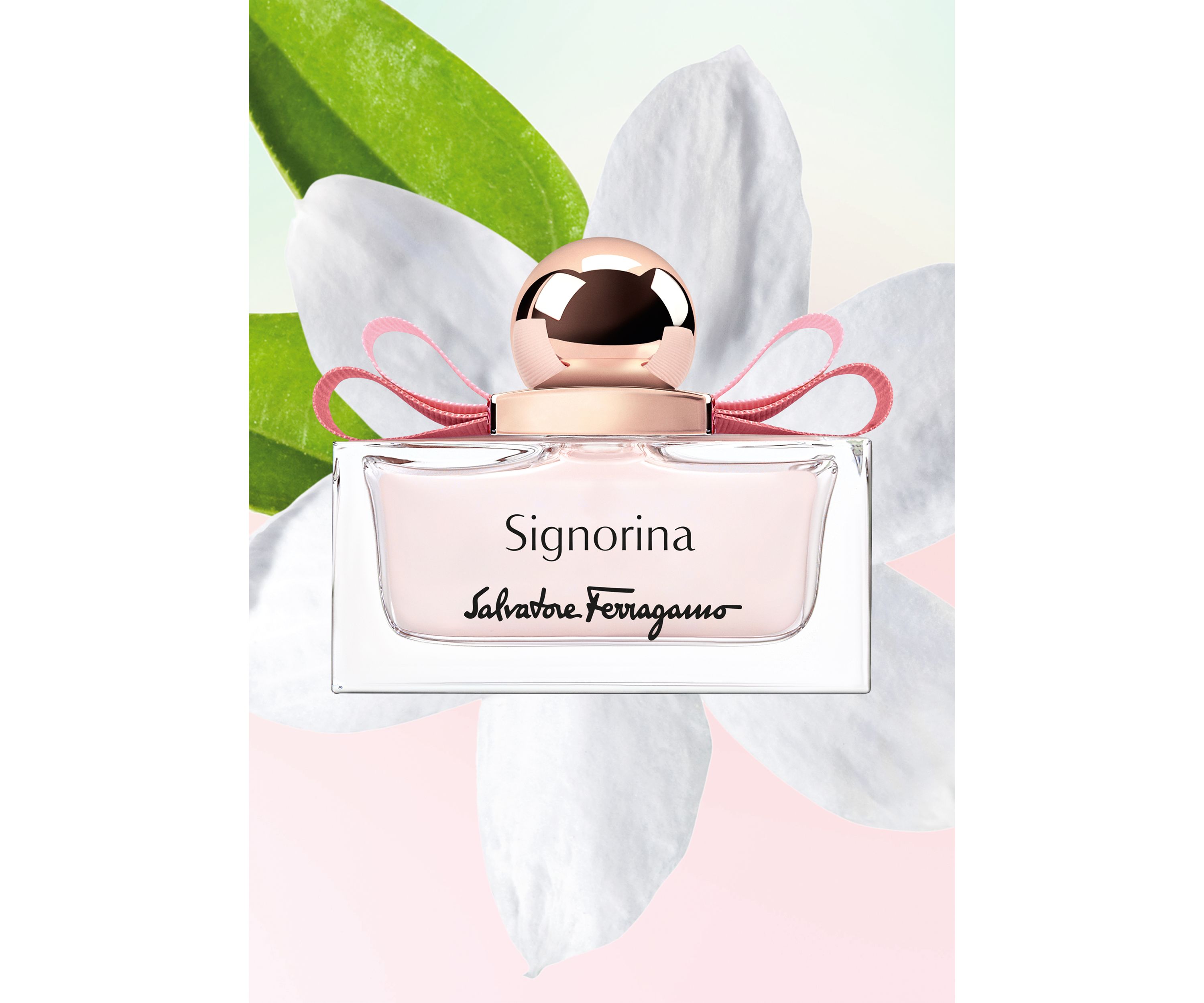 Signorina Eau de Parfum 