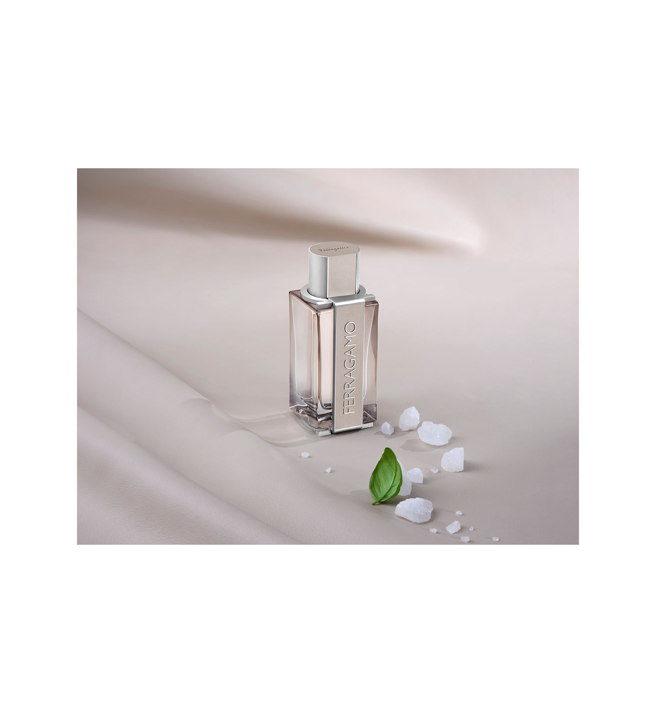 Bright Leather Eau de Toilette