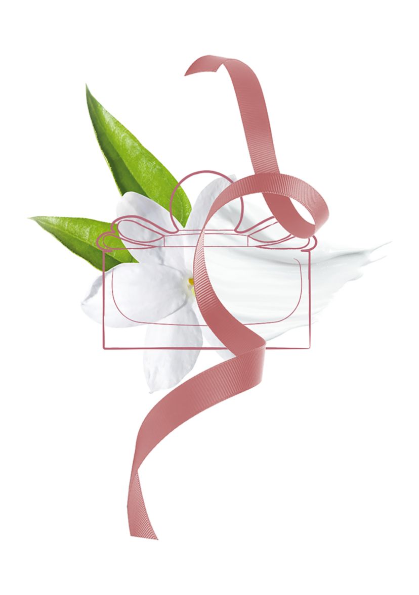 Signorina Eau de Parfum Gift Set - $170 Value!