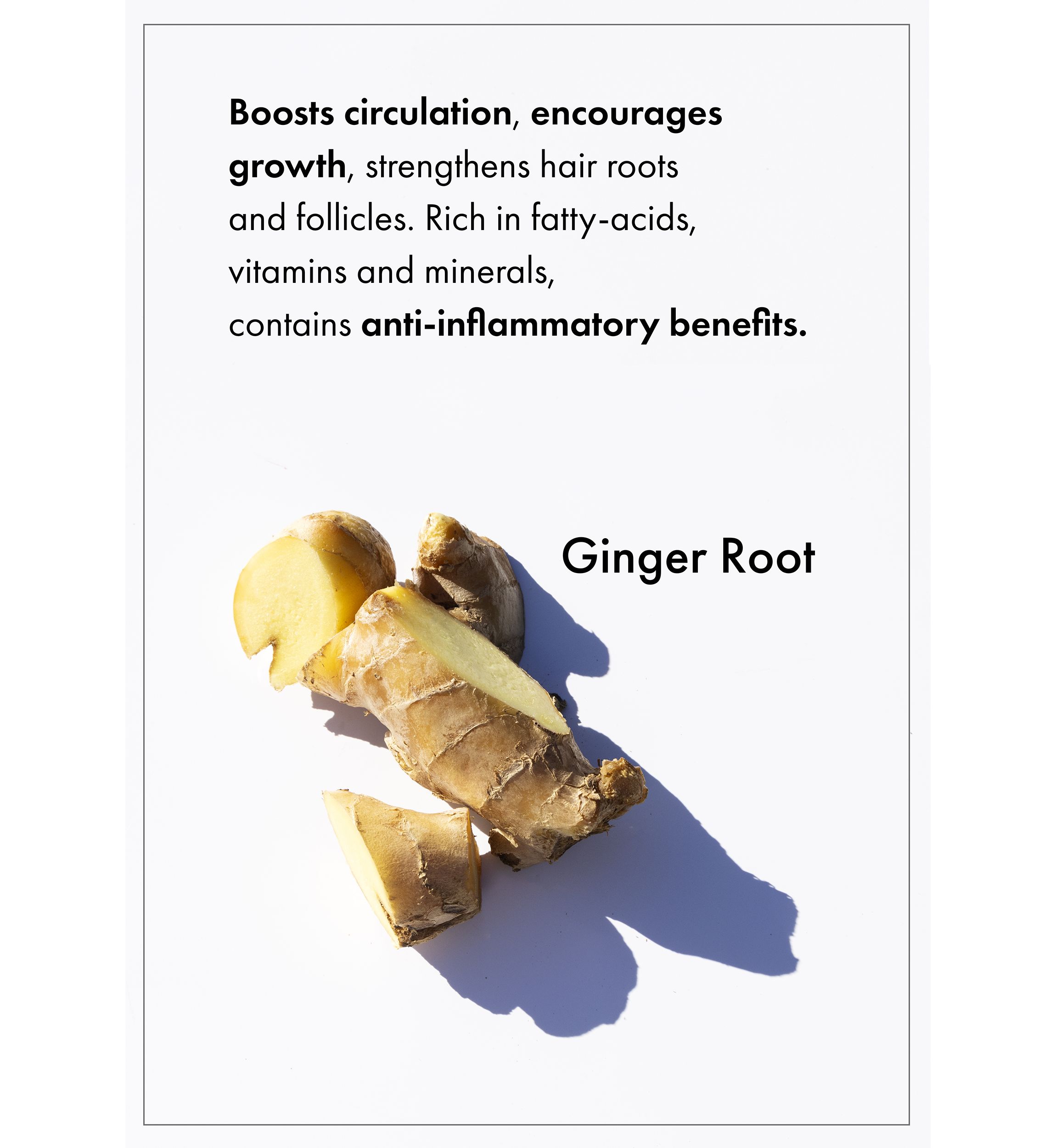 Apple Cider Detox Shampoo 