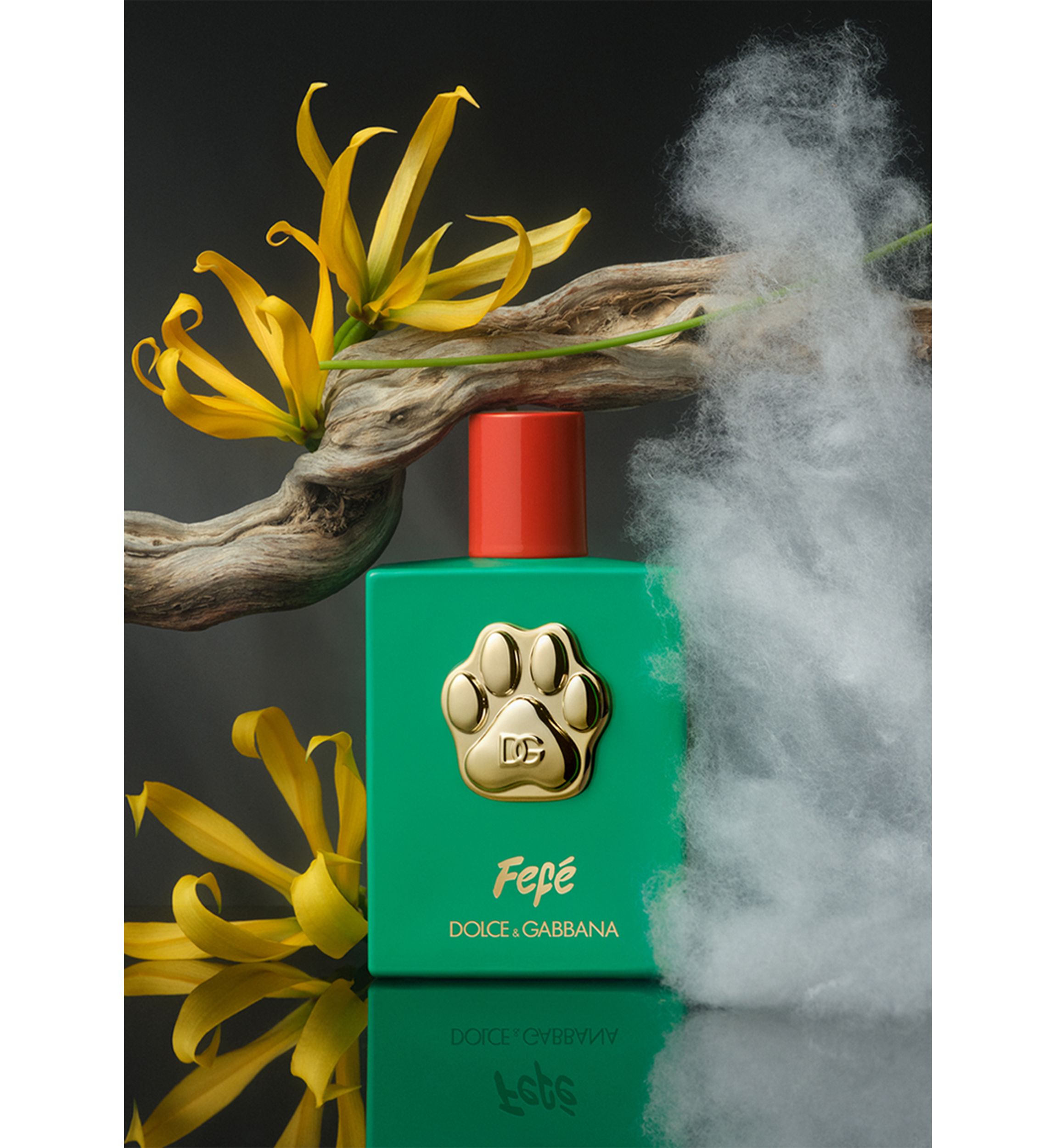 Fefé Fragrance 
