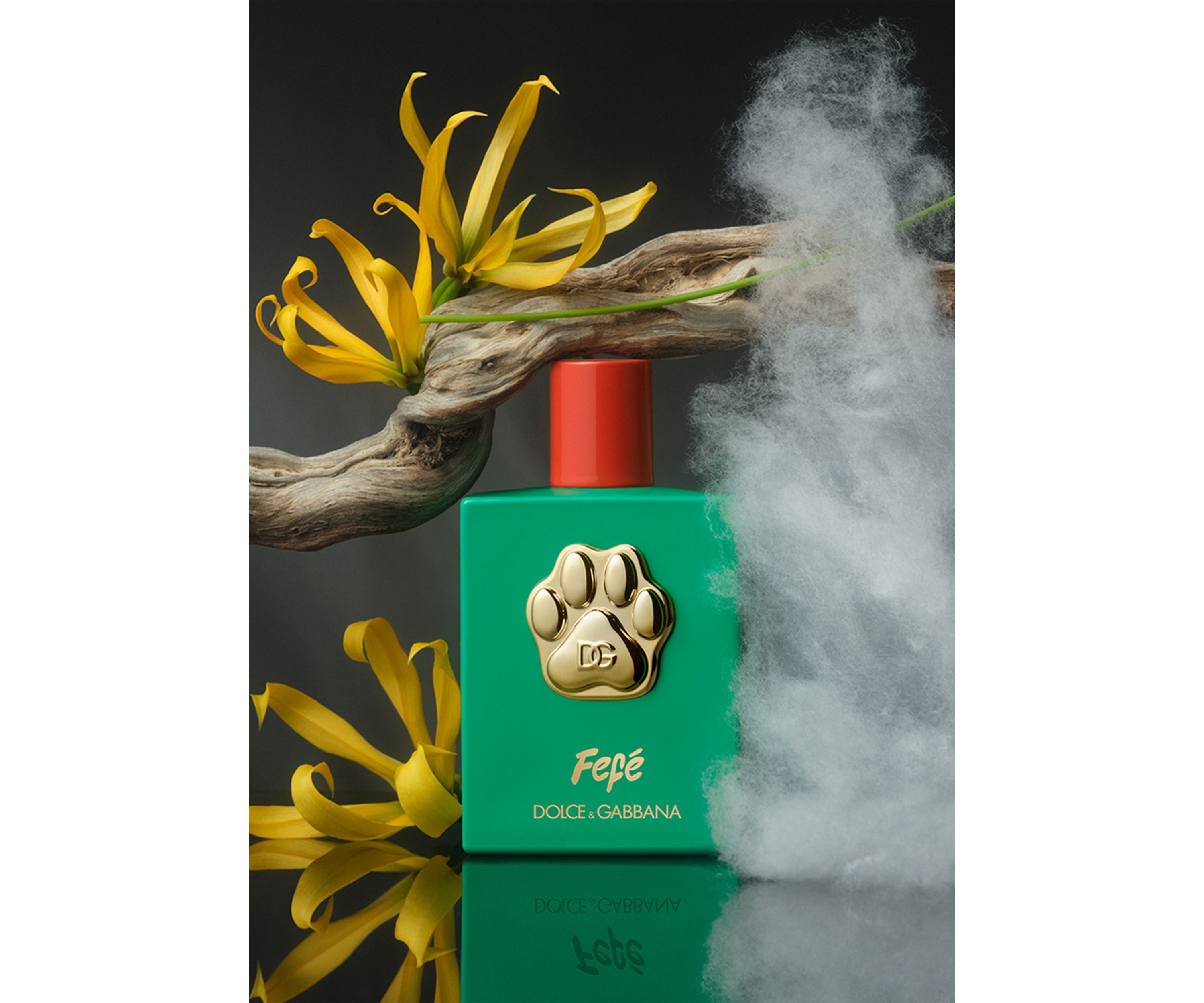 Fefé Fragrance 