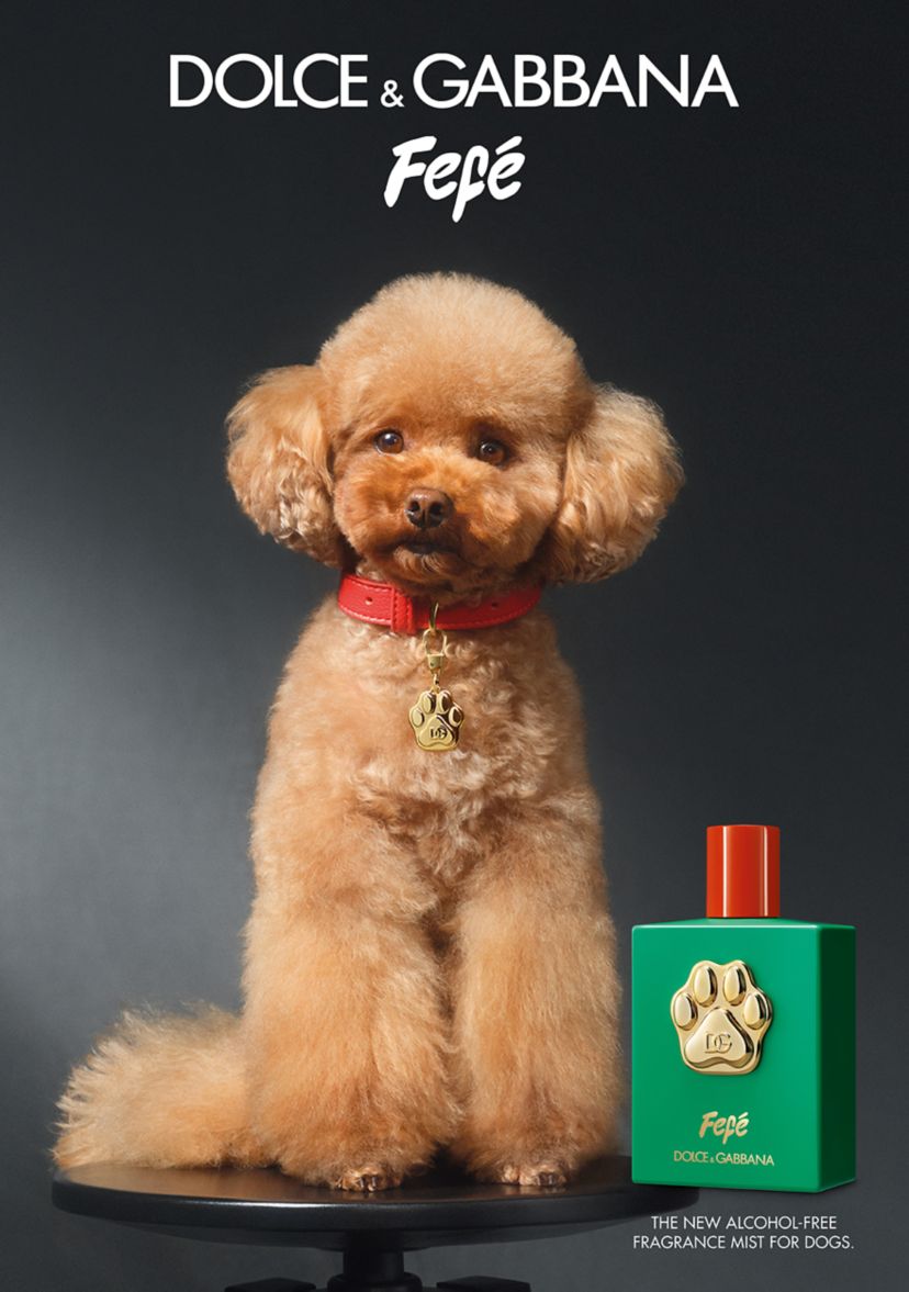 Fefé Fragrance 