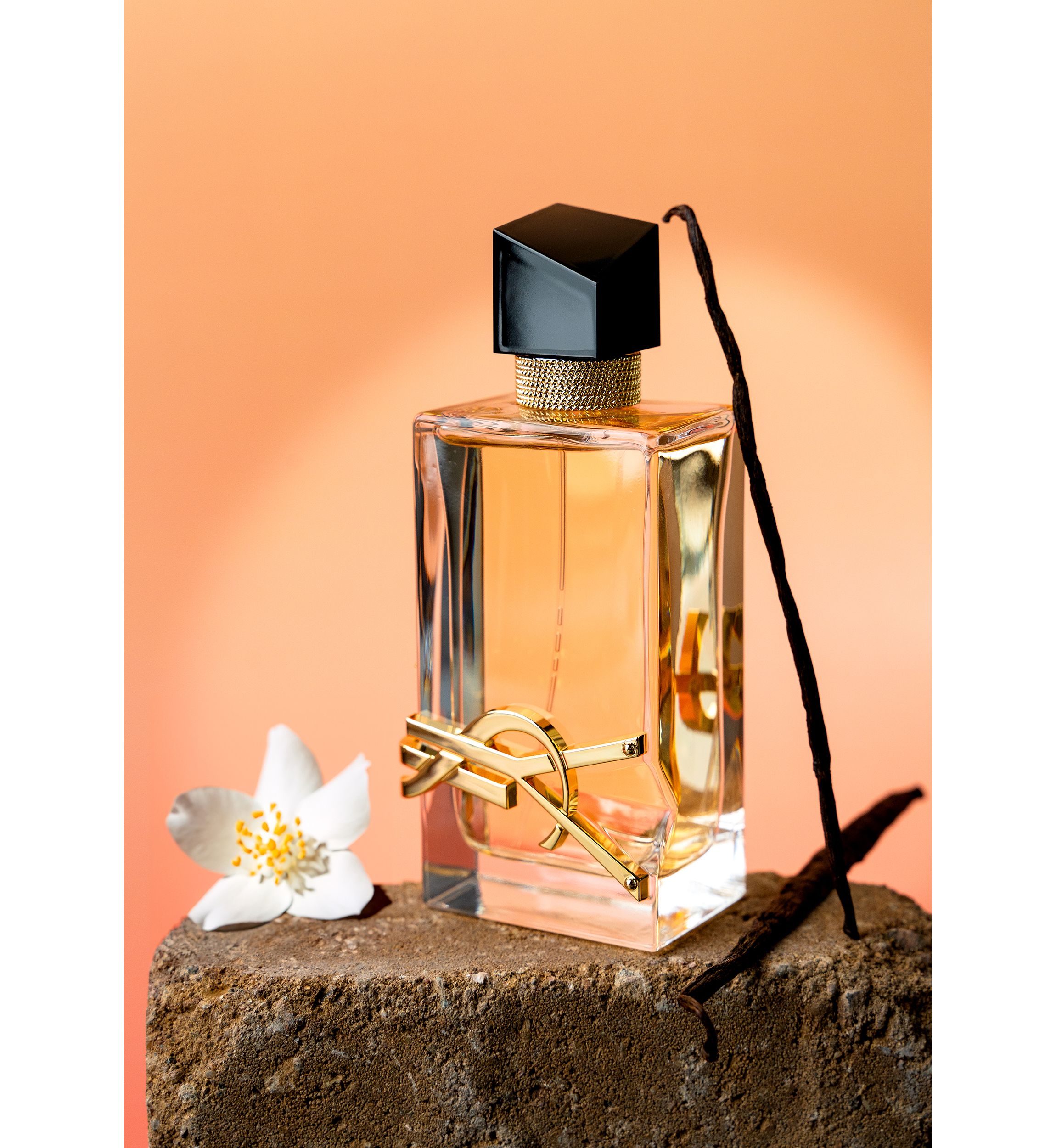 【空白】Yves Saint Laurent Libre Amazon.com : Yves Saint Laurent Libre Women 3 oz EDP Spray