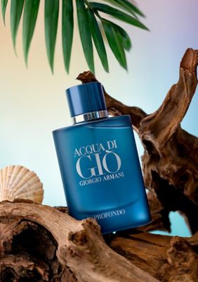 Acqua di Gio pour Homme by Giorgio Armani Basenotes