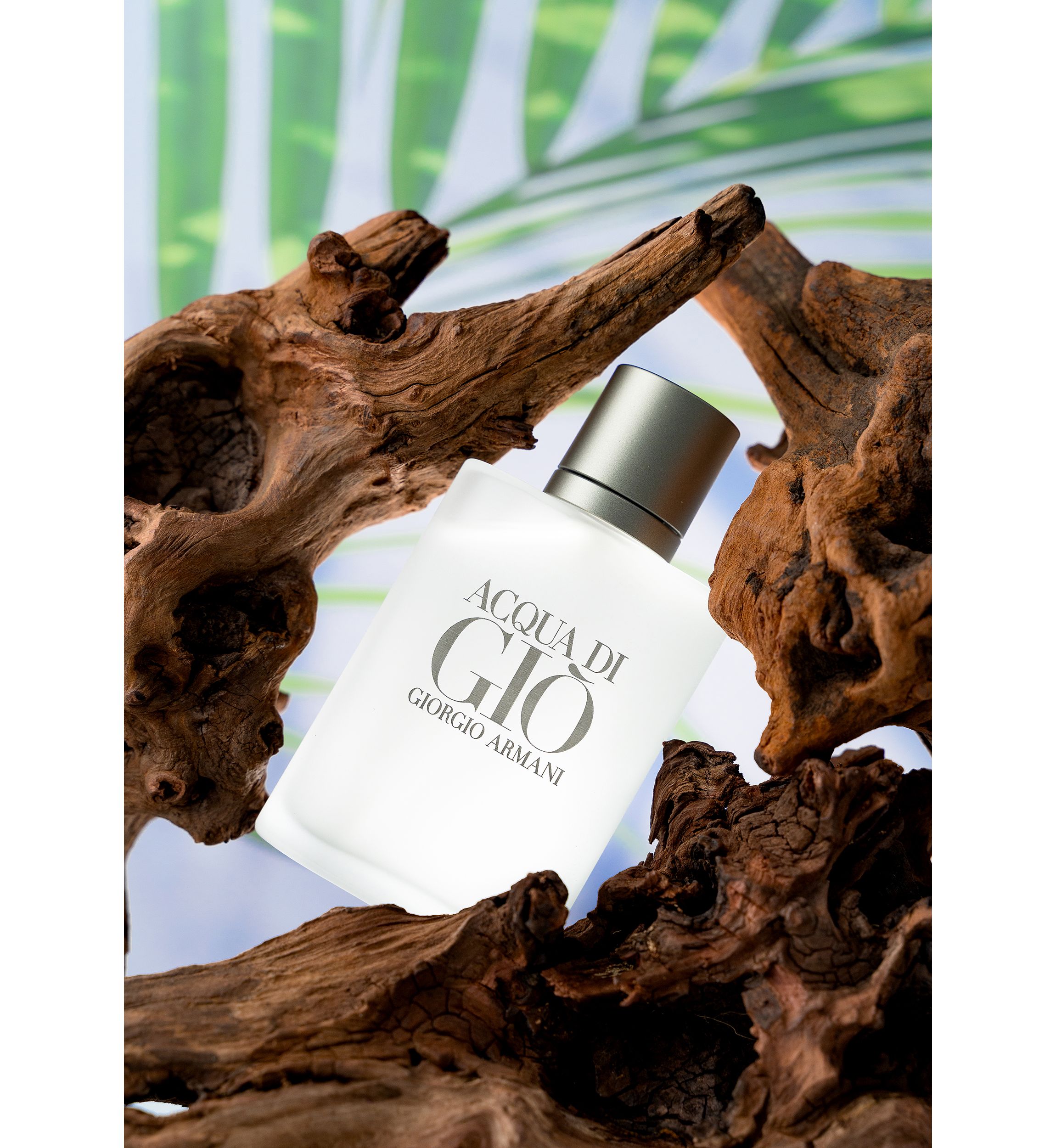 Acqua Di Gio Men by Giorgio Armani Eau de Toilette Spray