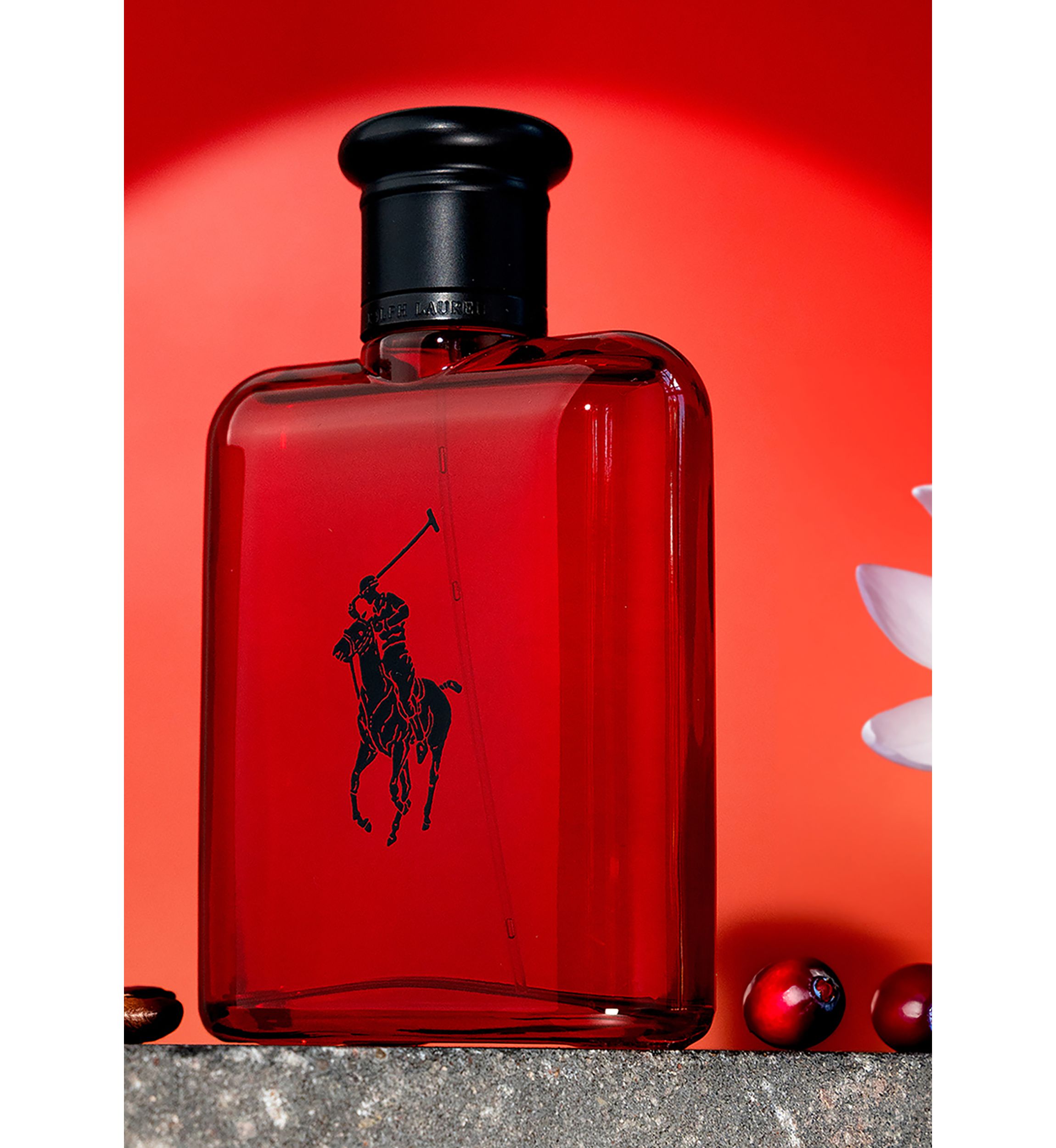 Polo Ralph Lauren Ralph Lauren Polo Fragrance 3 Piece Men's Gift