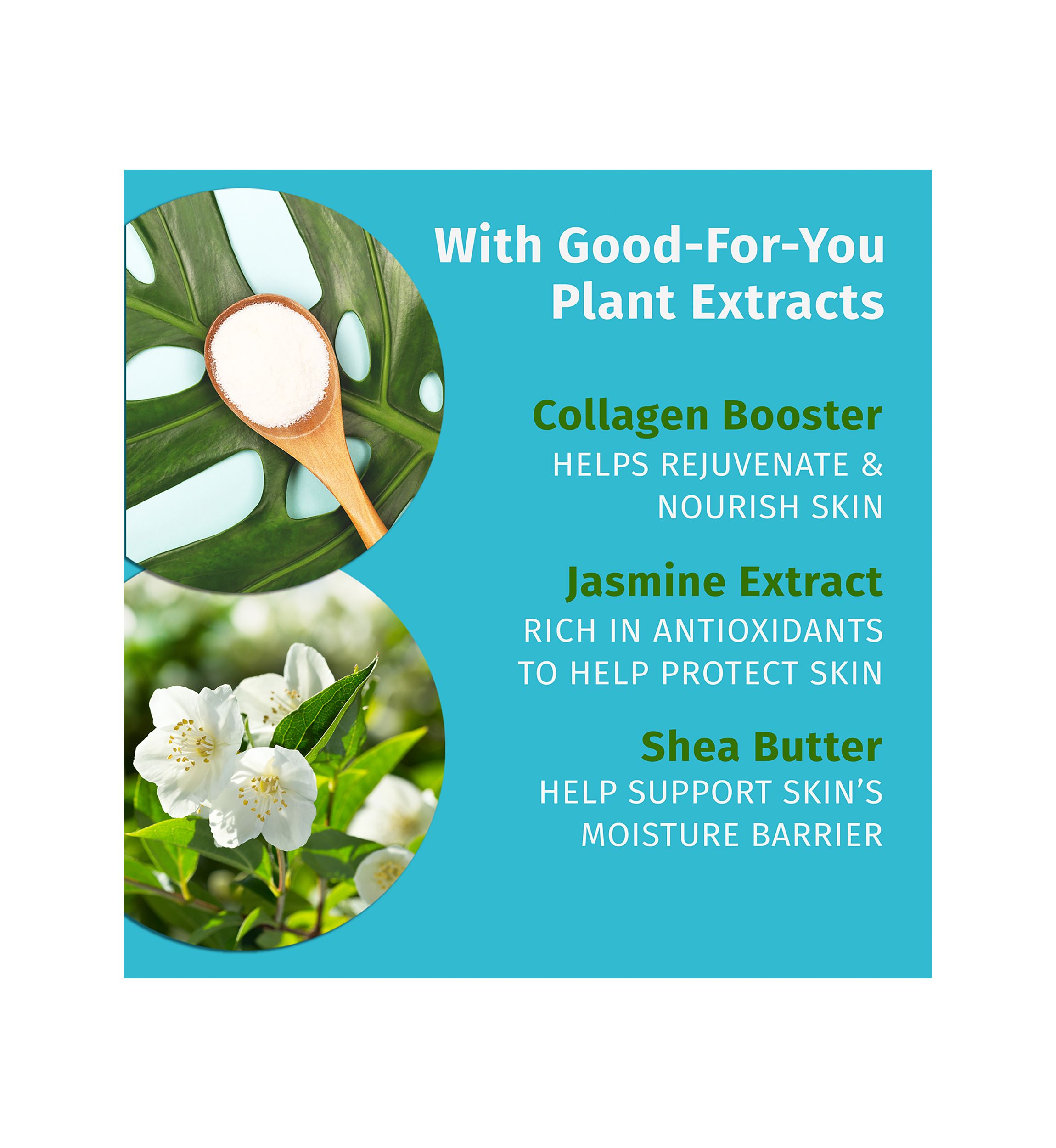 Beauty Actives Sweet Jasmine and Rose Herbal Body Moisturizer with Collagen Booster