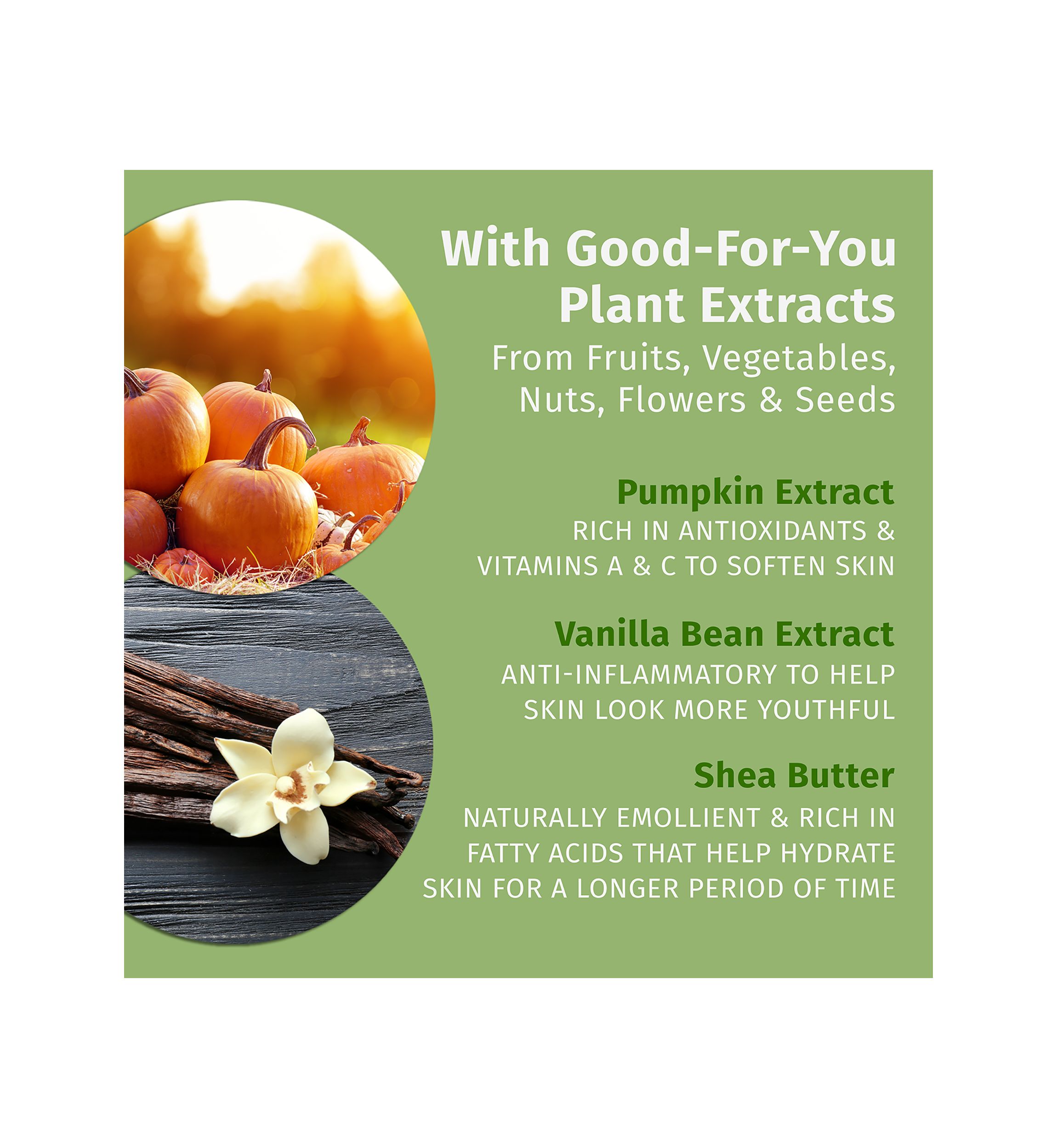 Pumpkin Spice & Vanilla Chai Herbal Body Moisturizer 