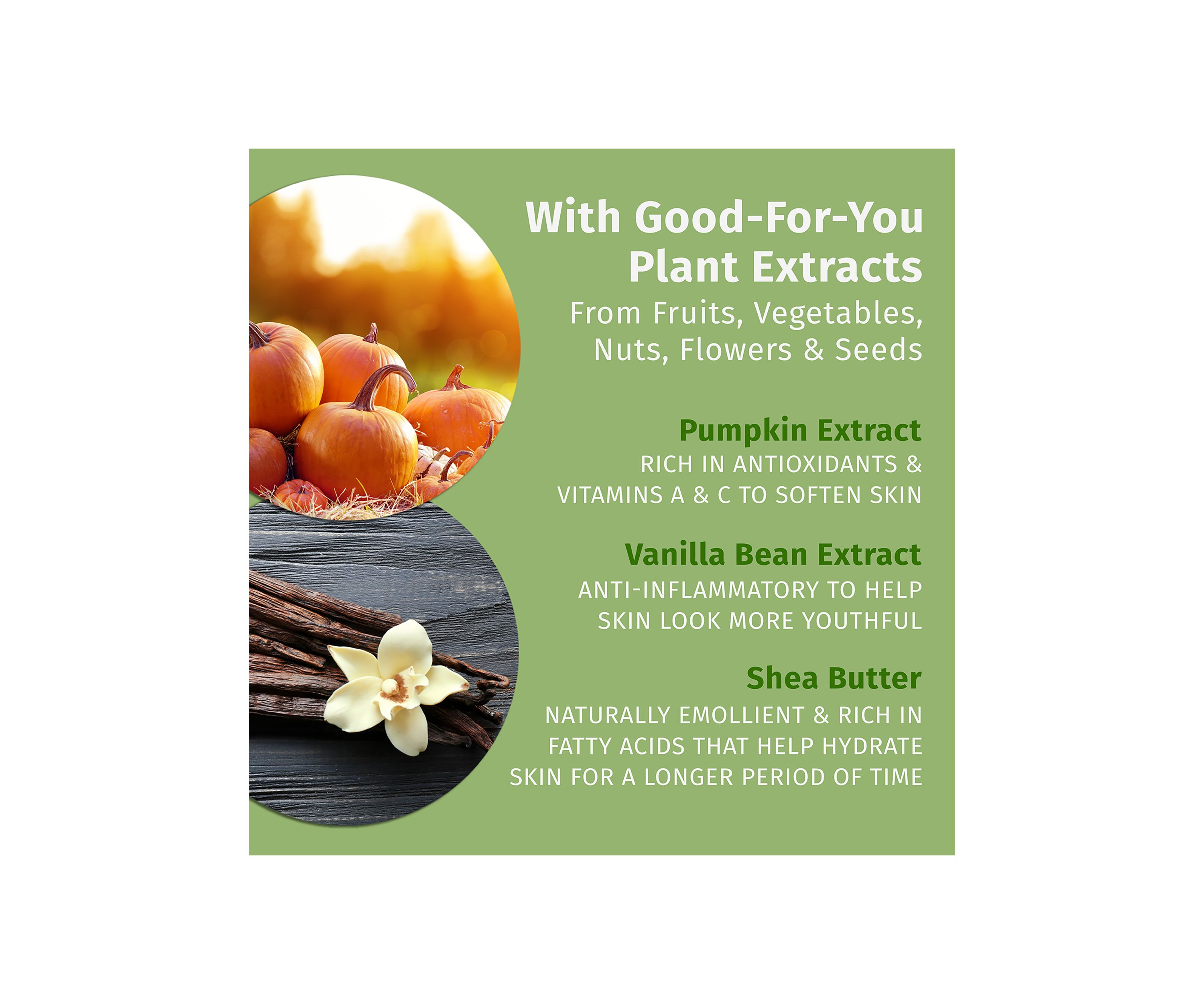 Pumpkin Spice & Vanilla Chai Herbal Body Moisturizer 