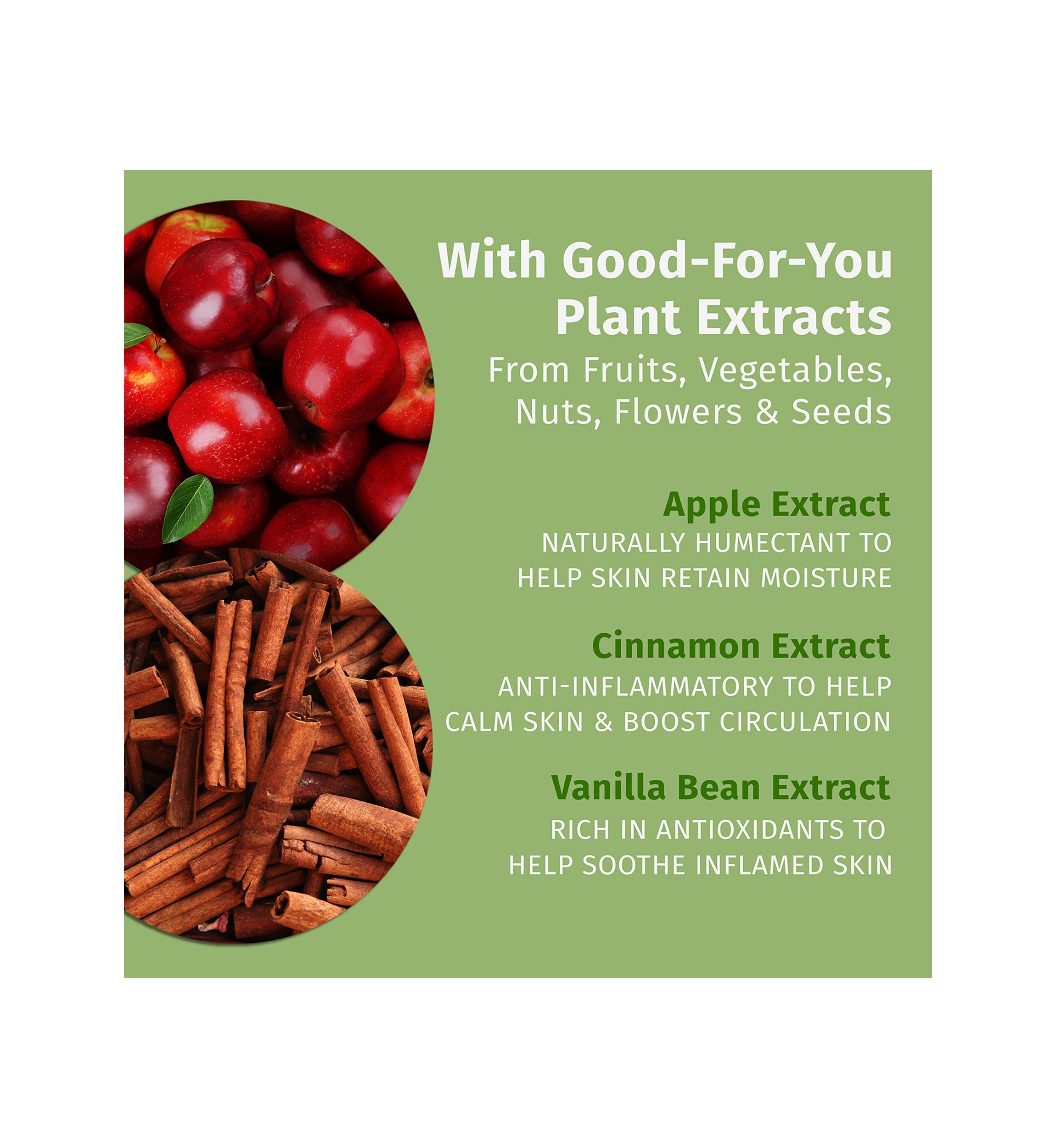 Apple Cider & Nutmeg Herbal Body Moisturizer 