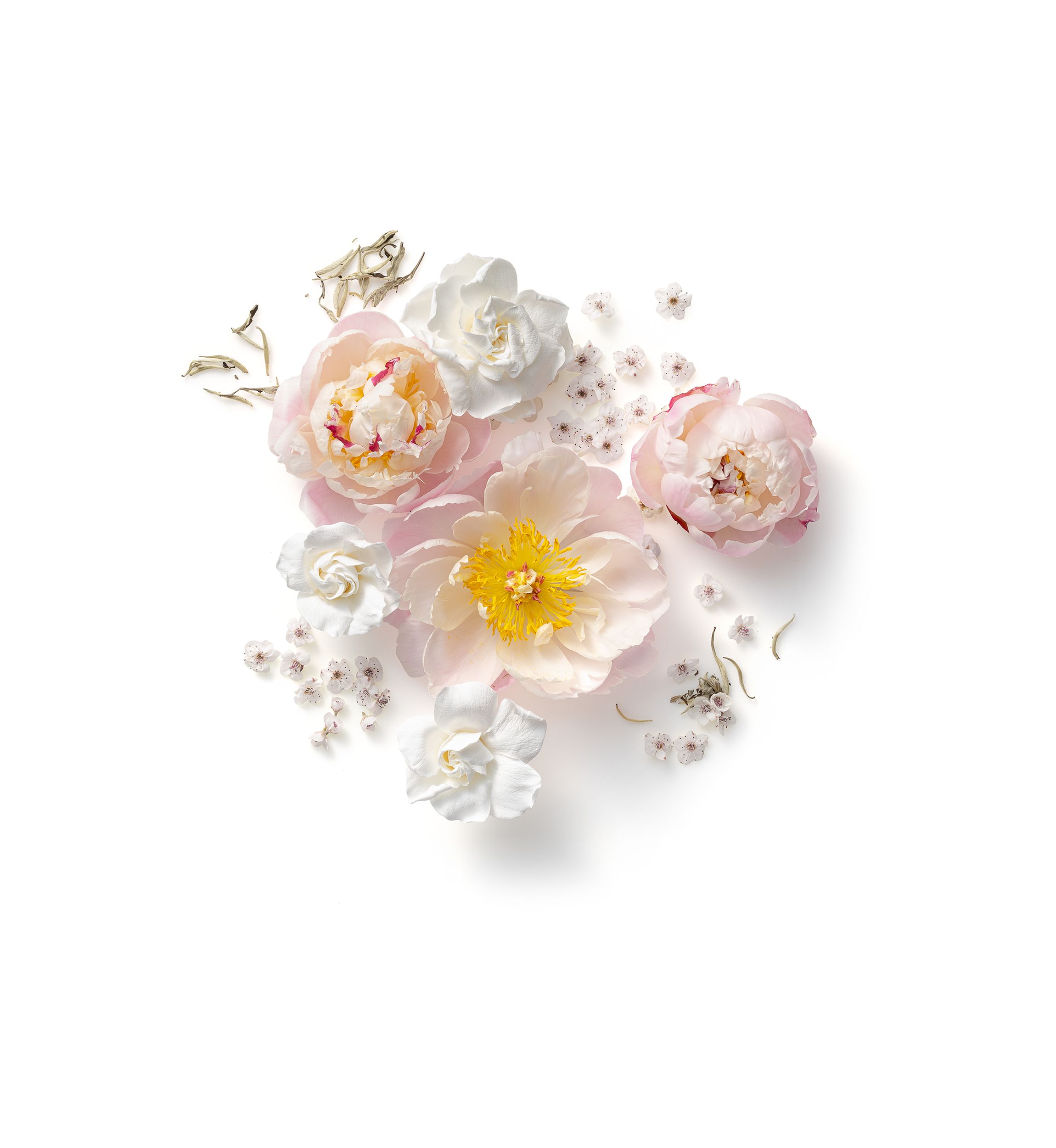 Loved Eau de Parfum