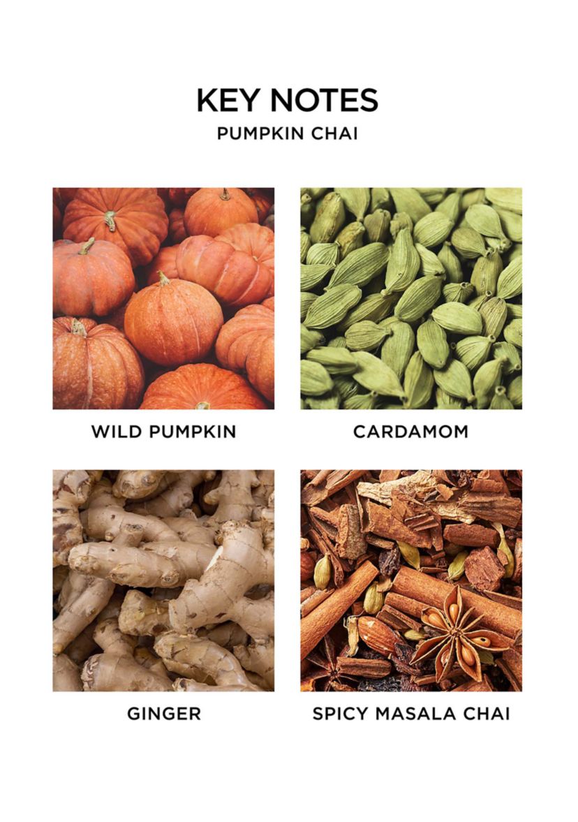 NEST New York Pumpkin Chai Reed Diffuser | Belk