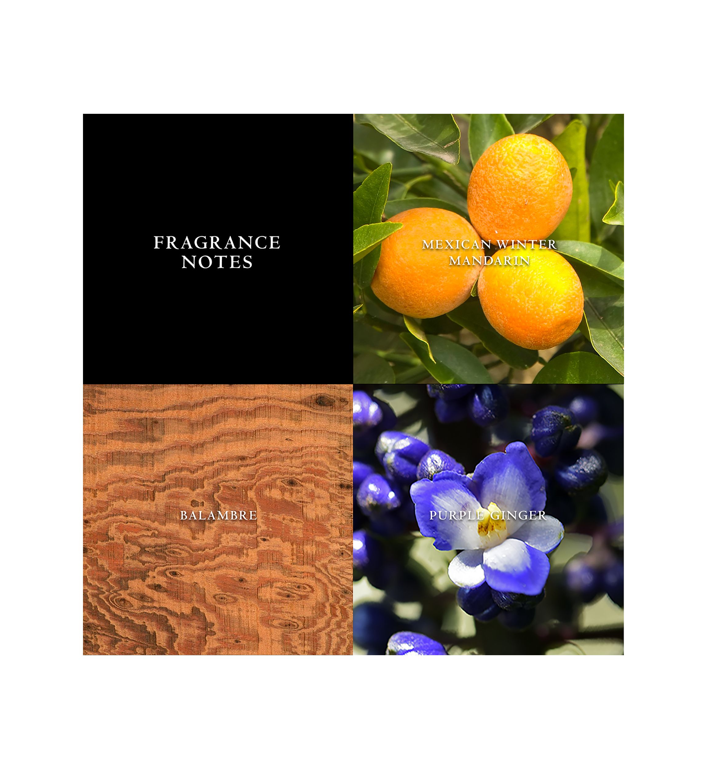 Artisan Eau de Toilette Natural Spray