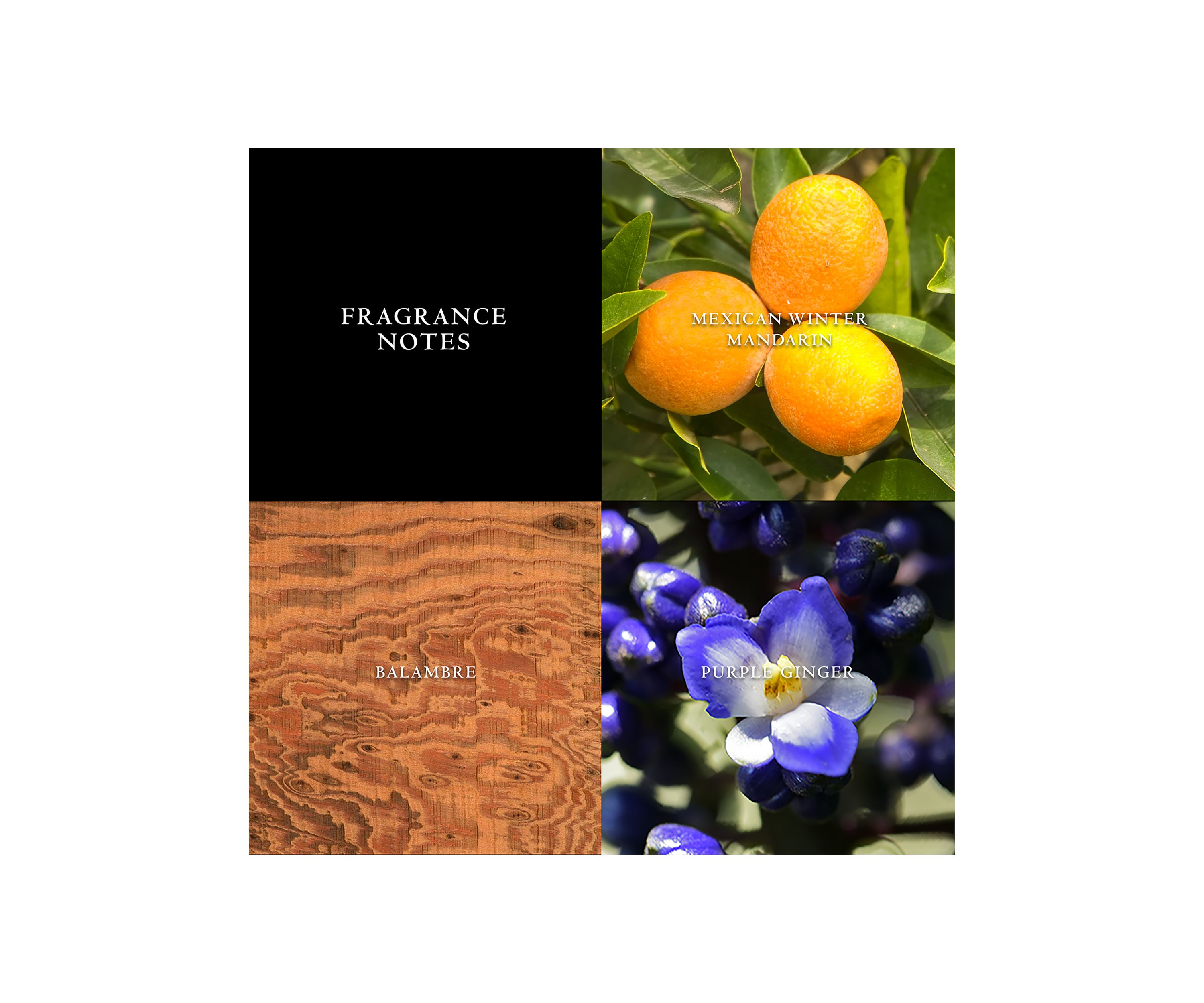 Artisan Eau de Toilette Natural Spray