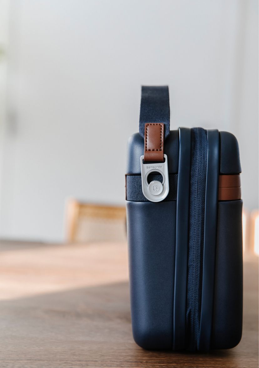 Virtuosa Train Case