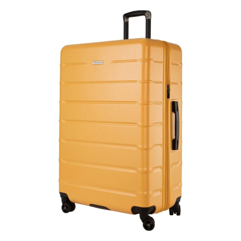 Cambria Hardside 29" Large Check-In Spinner Suitcase