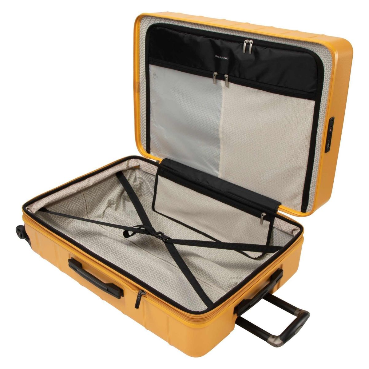 Cambria Hardside 29" Large Check-In Spinner Suitcase