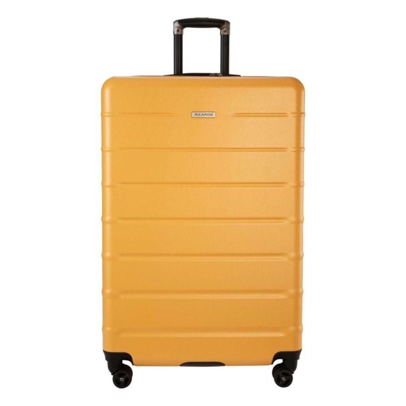 Cambria Hardside 29" Large Check-In Spinner Suitcase