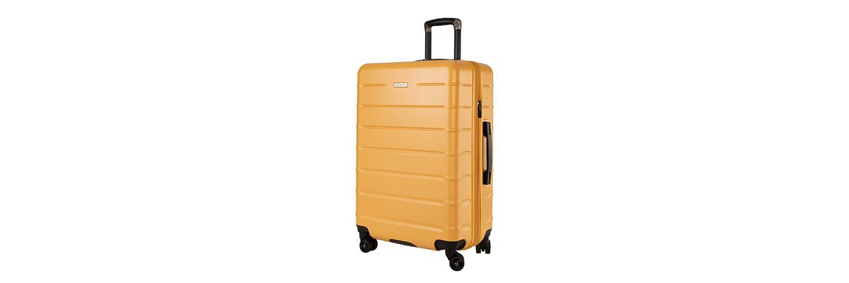 Cambria Hardside 25" Medium Check-In Spinner Suitcase