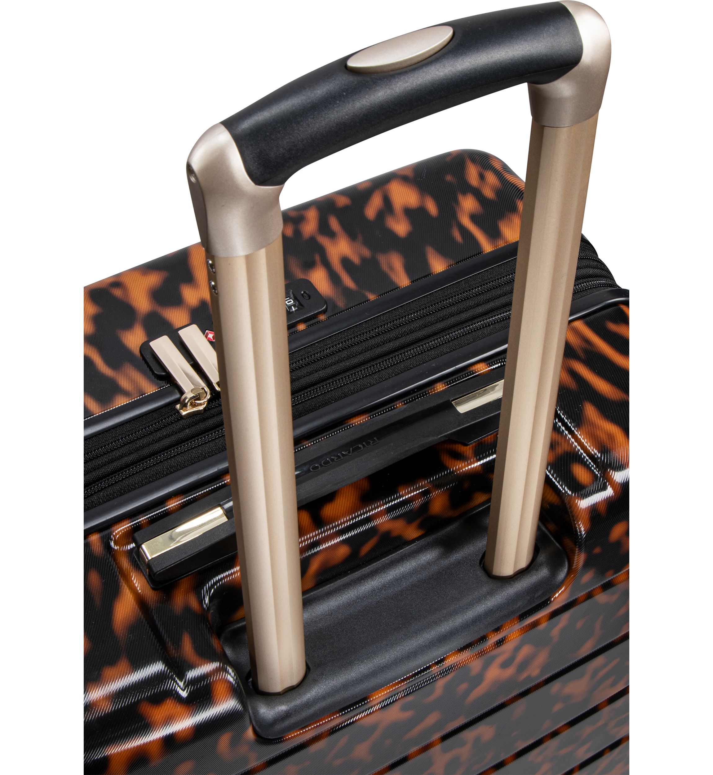 Cambria Hard Side Check In Spinner Suitcase