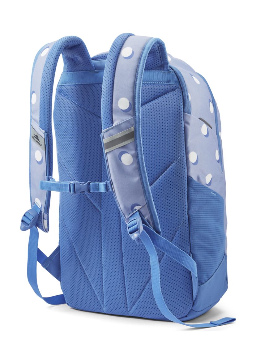 High Sierra Swerve Pro backpack