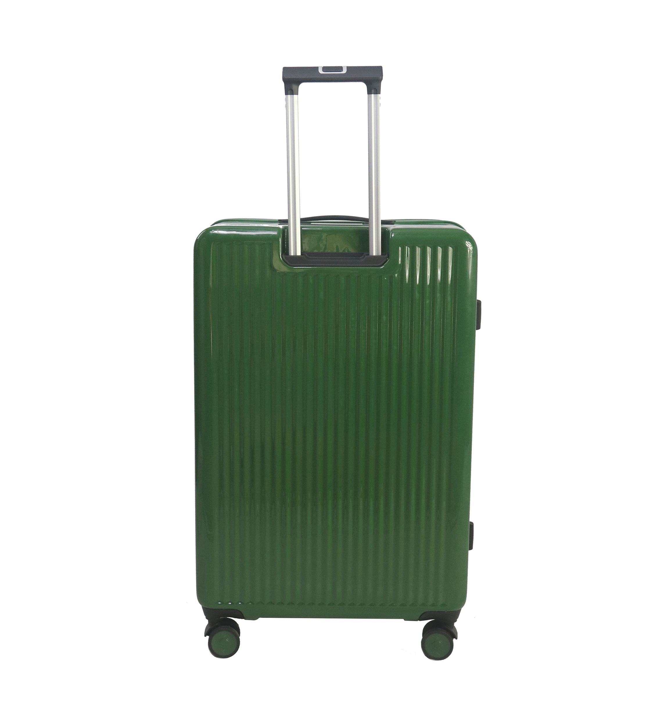 Phoenix Expandable Spinner