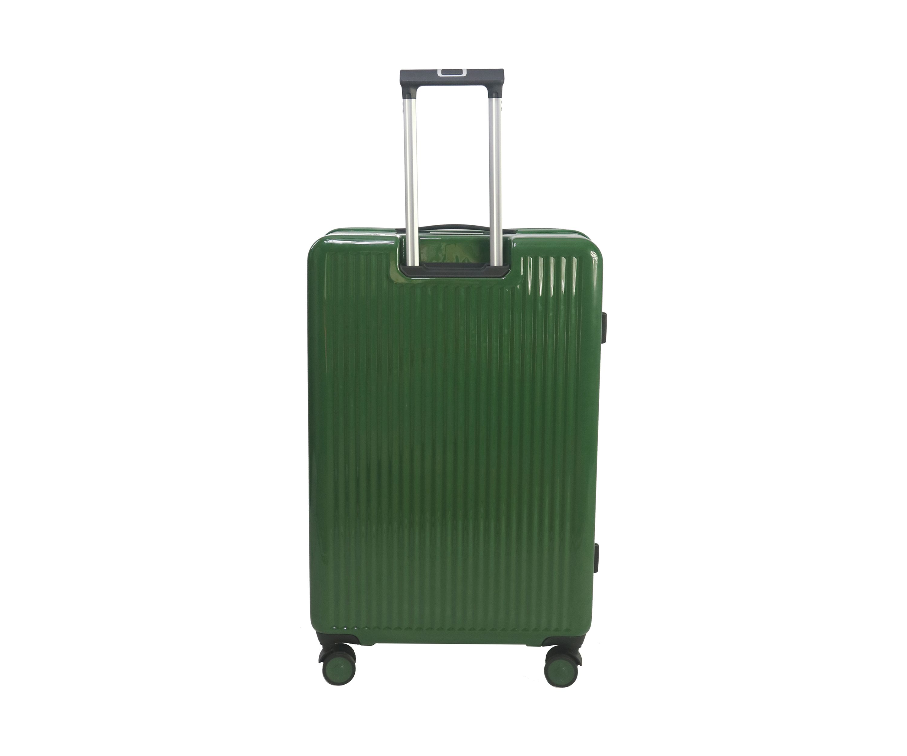Phoenix Expandable Spinner