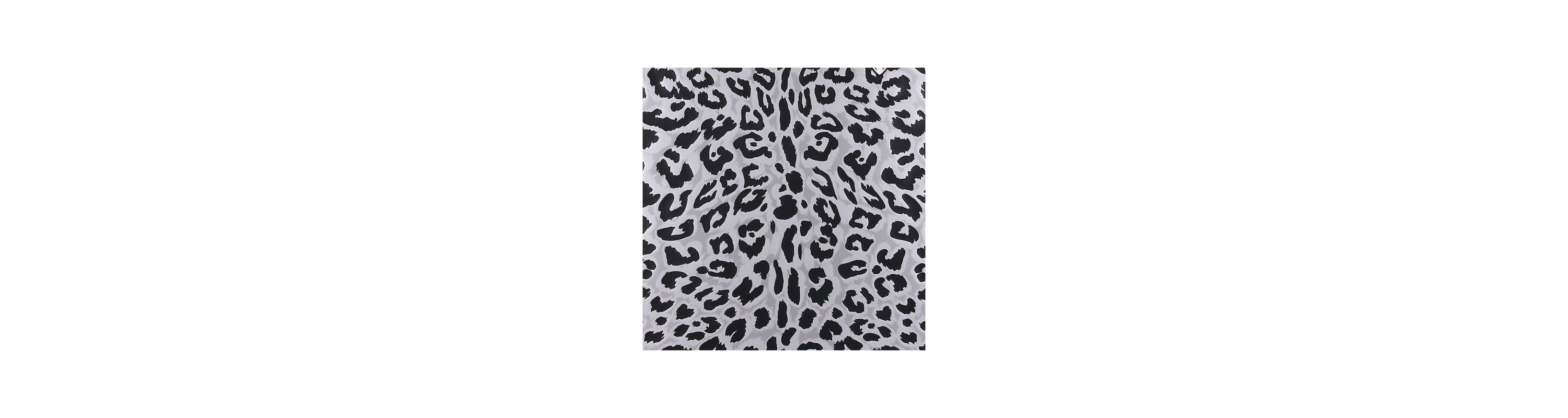 WINTER LEOPARD