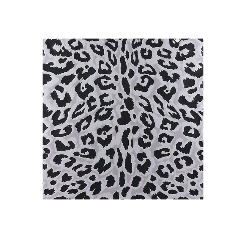 WINTER LEOPARD