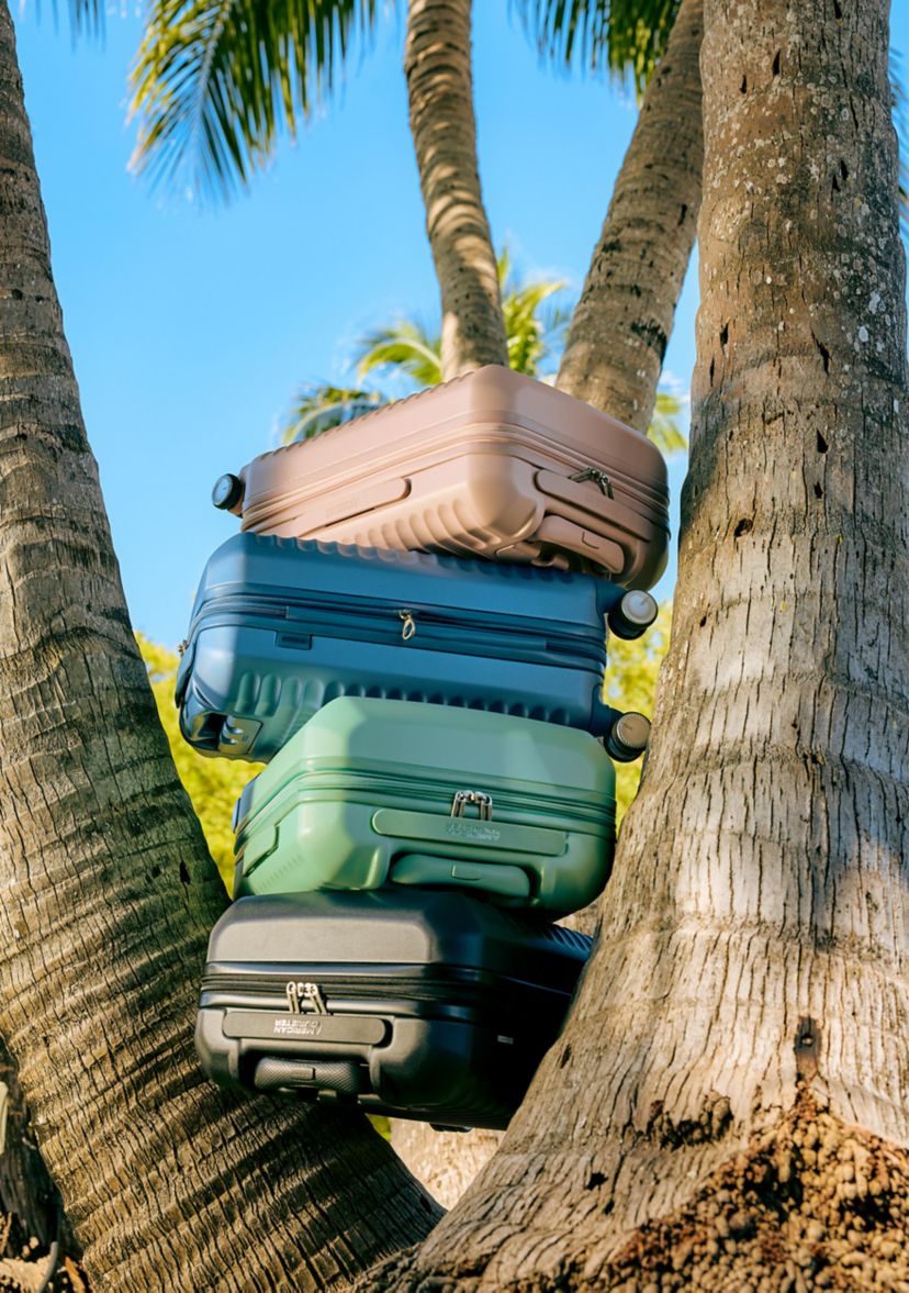 Stratum 3.0 Carry-On Hardside Spinner