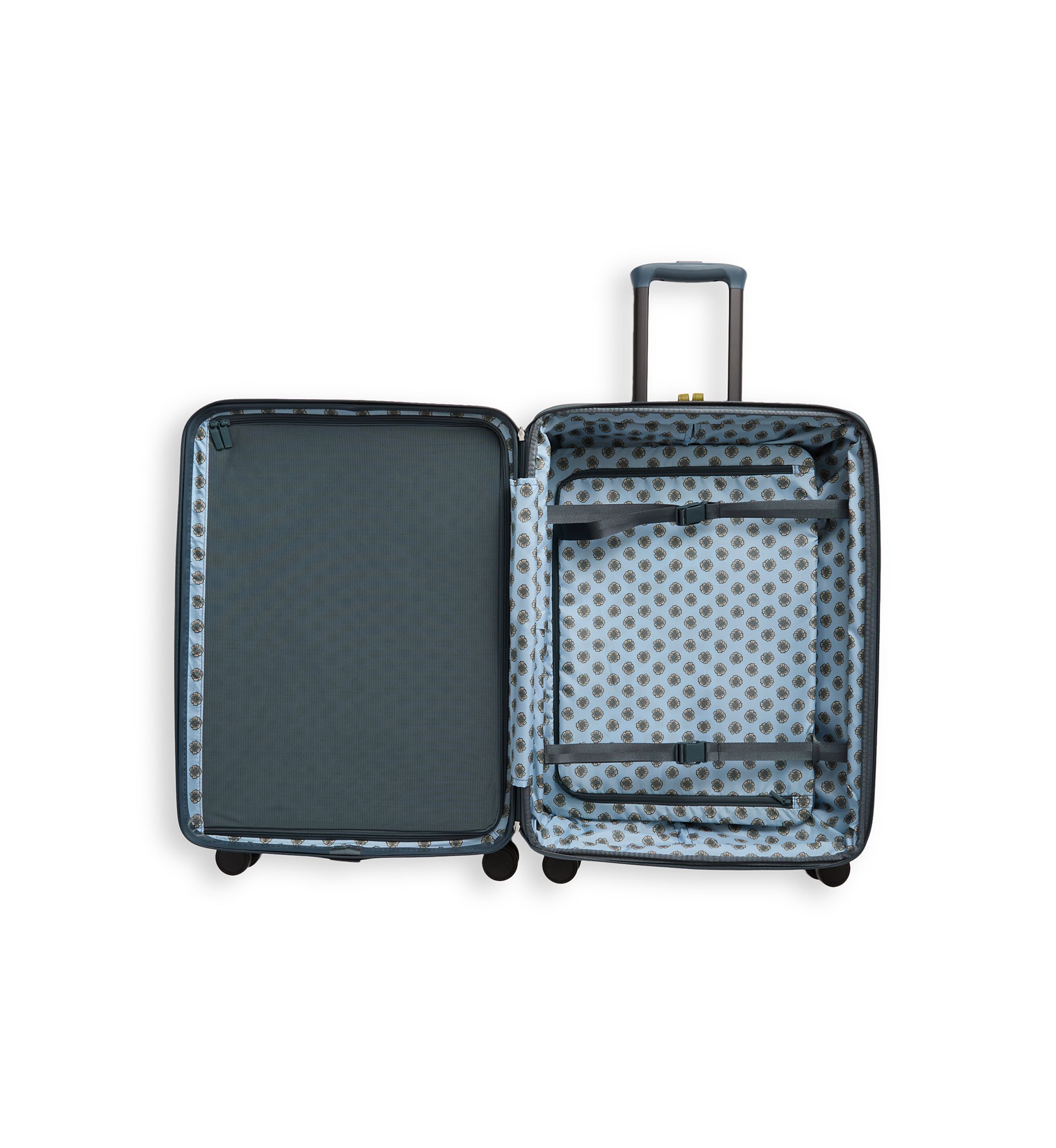 Leaf Me Not Paisley Dark Slate Adair Hardside Spinner Luggage