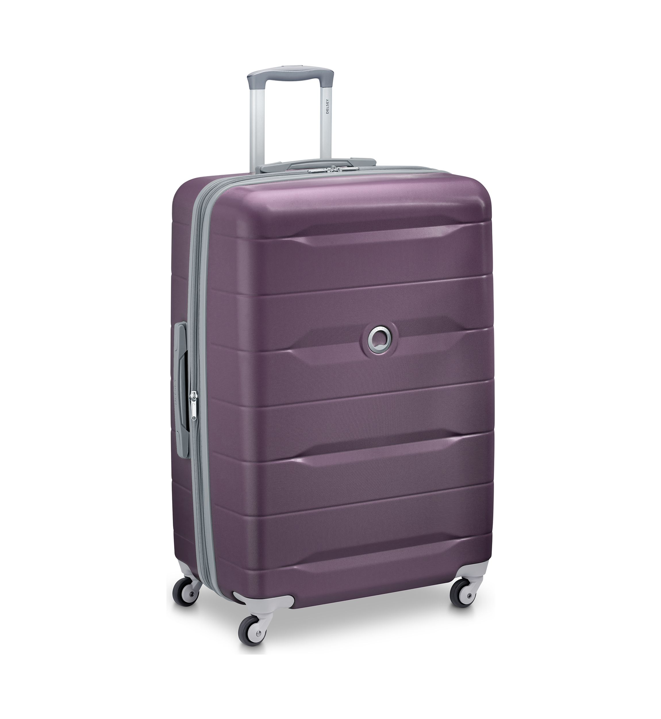 Monique Upright Spinner Luggage