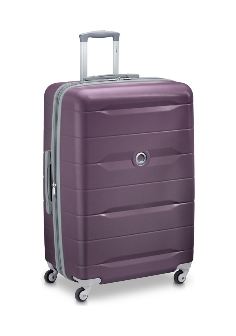 Monique Upright Spinner Luggage