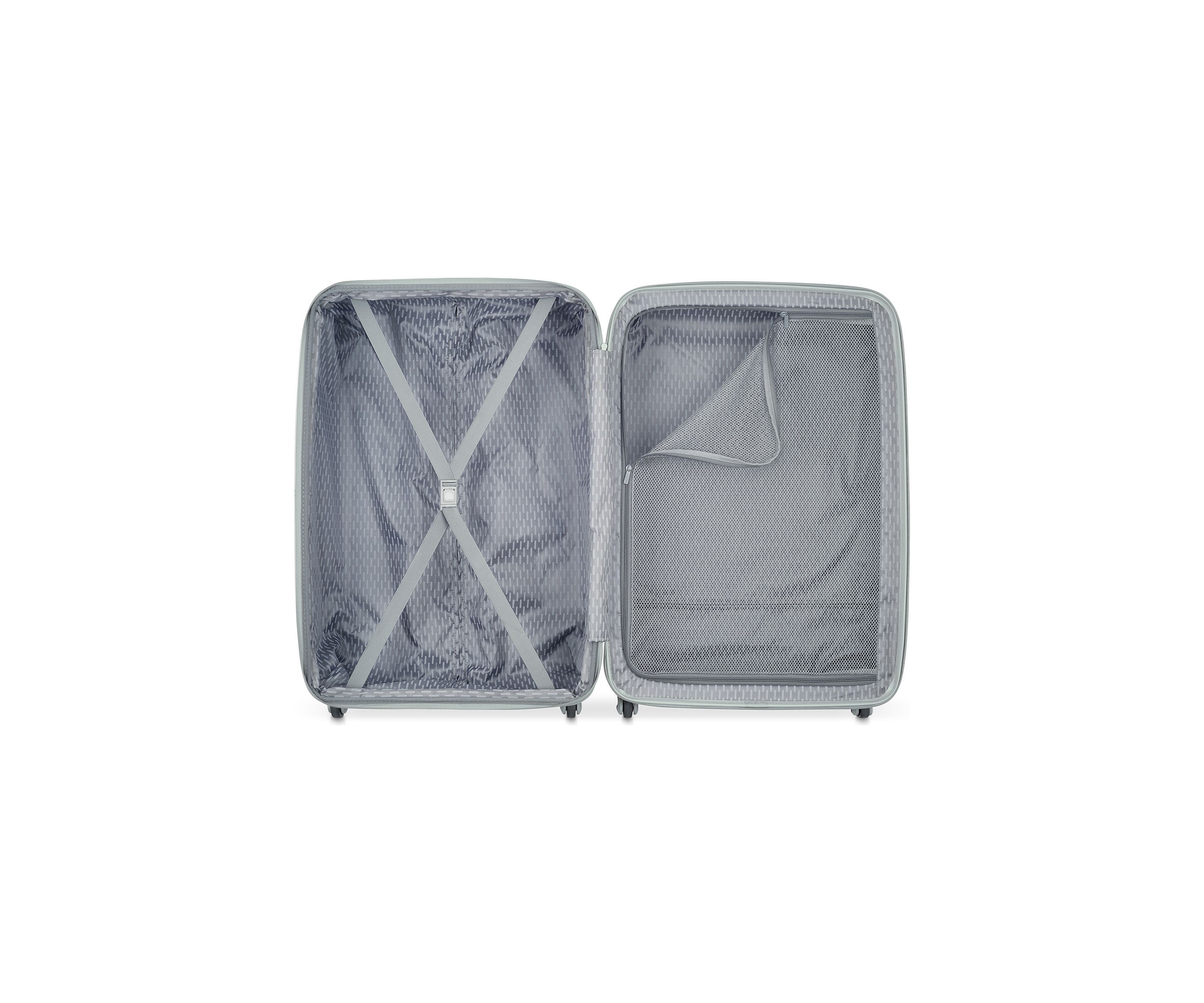 Monique Upright Spinner Luggage