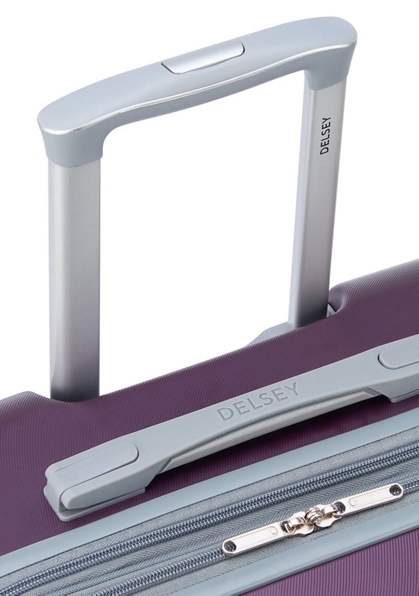 Monique Upright Spinner Luggage