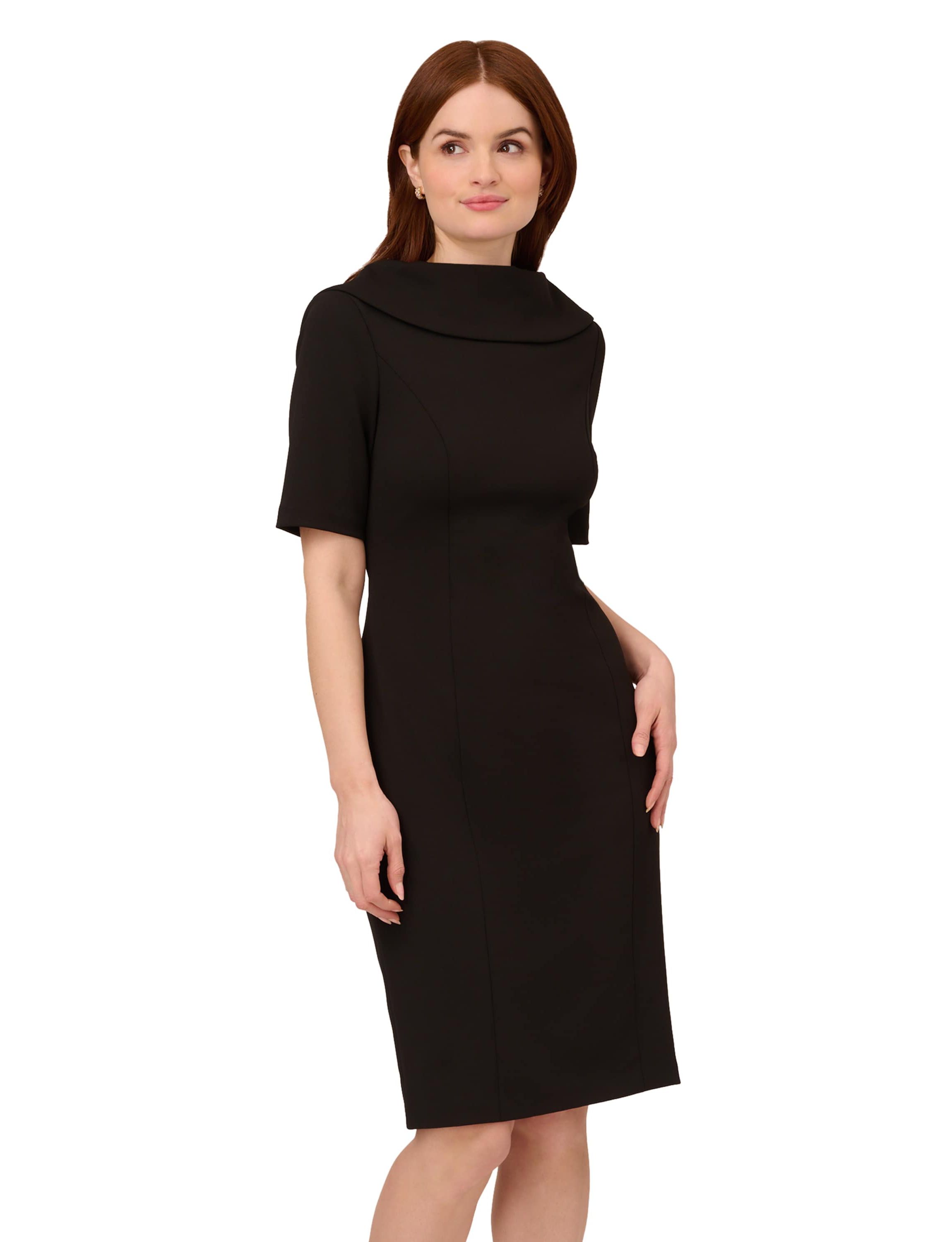 Roll Neck Sheath With V Back