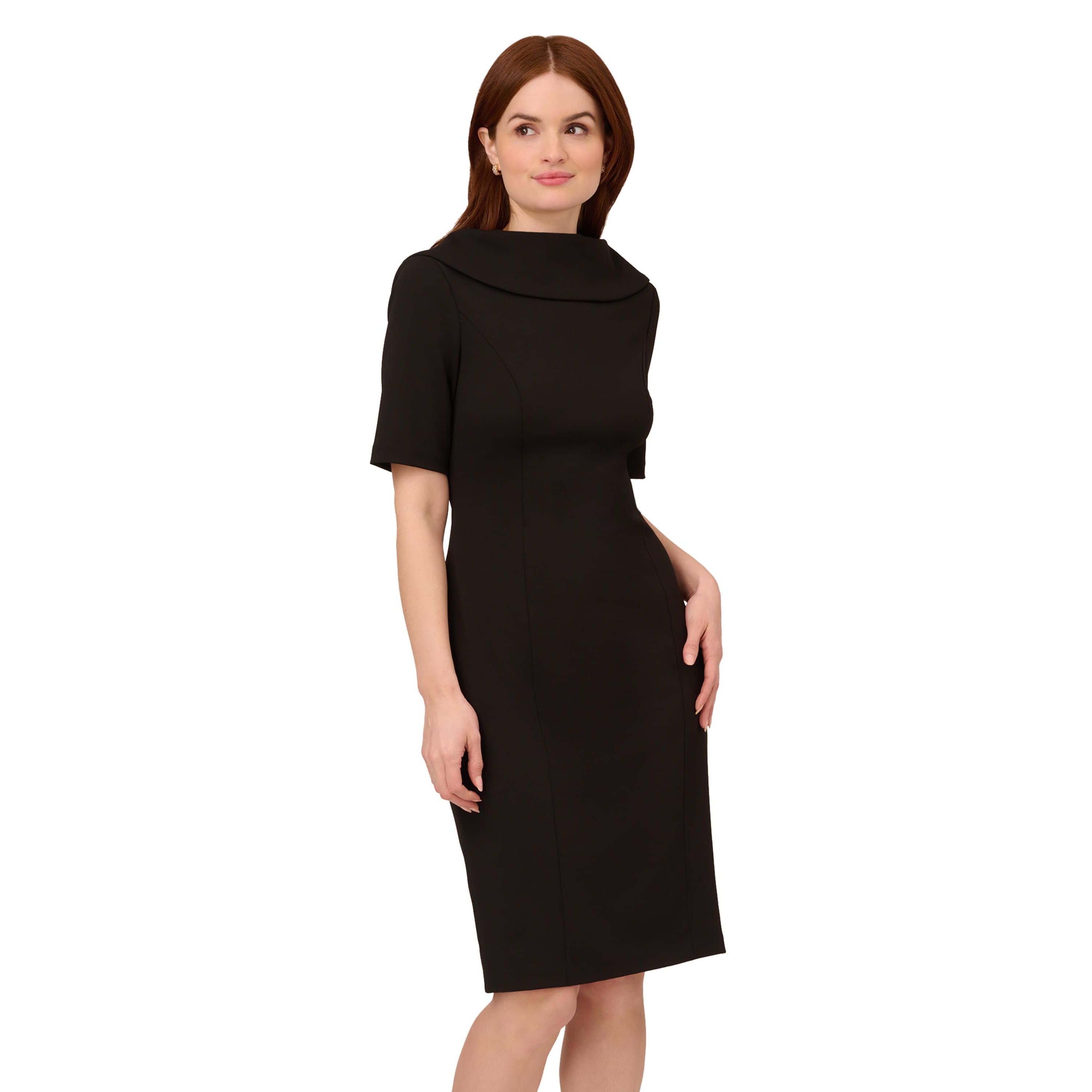 Roll Neck Sheath With V Back
