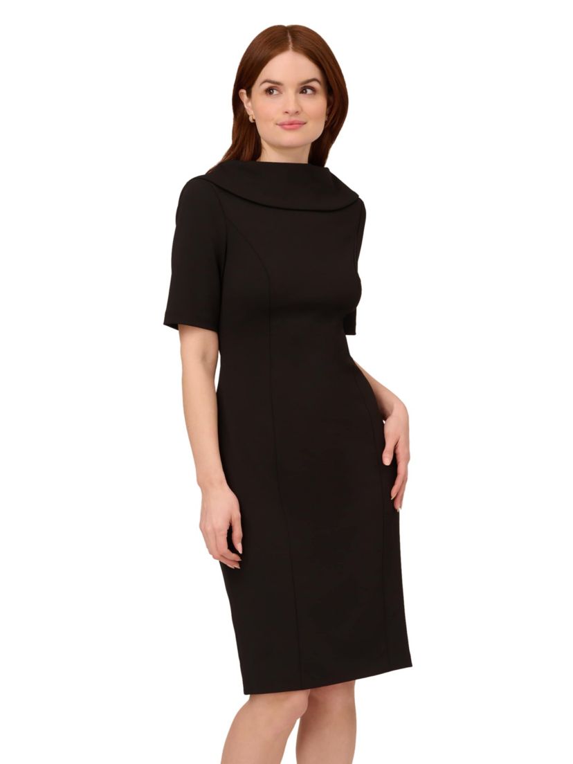 Roll Neck Sheath With V Back