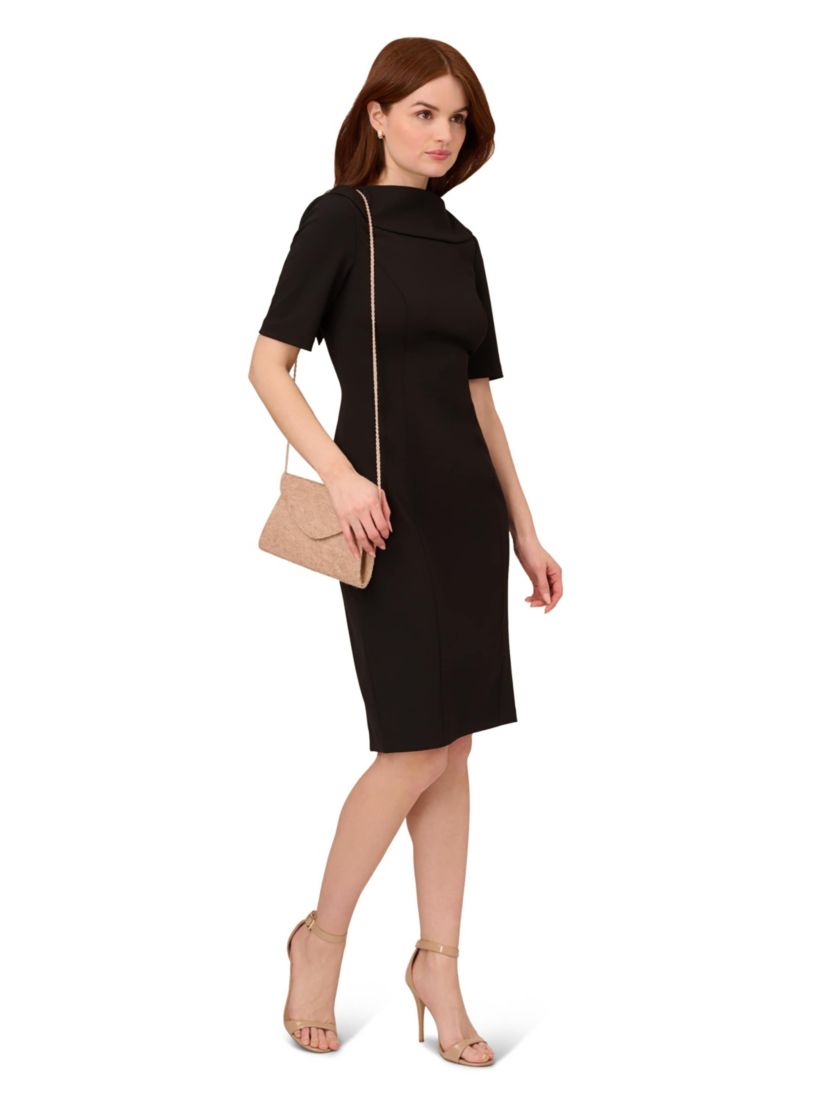 Roll Neck Sheath With V Back